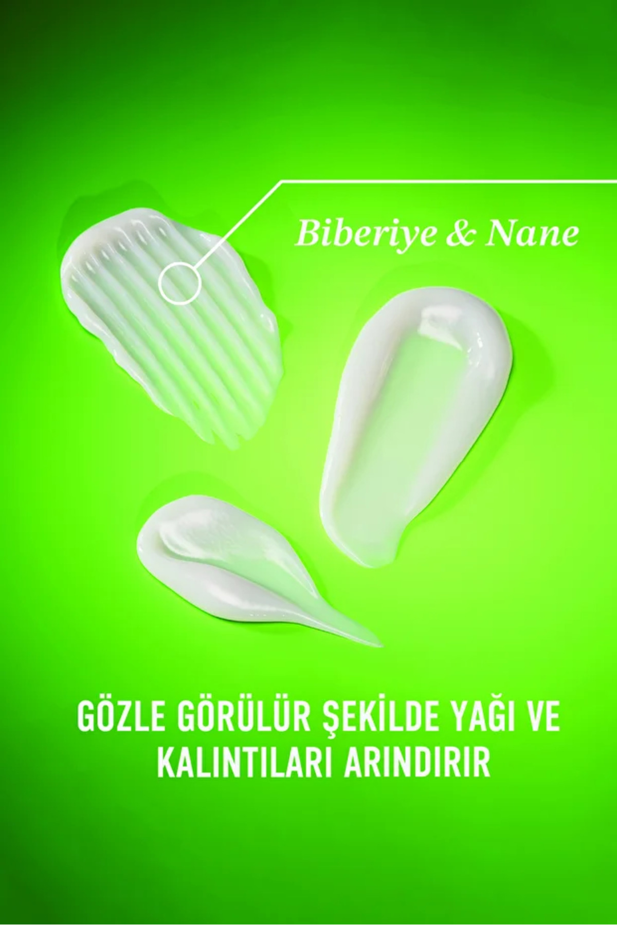 Rosemary Mint (BİBERİYE & NANE IÇEREN) Arındırıcı Saç Bakım Kremi 385 ml & Tarak — PKTRSMRYSÇBKMKRMTRK — تصویر 6 از 8