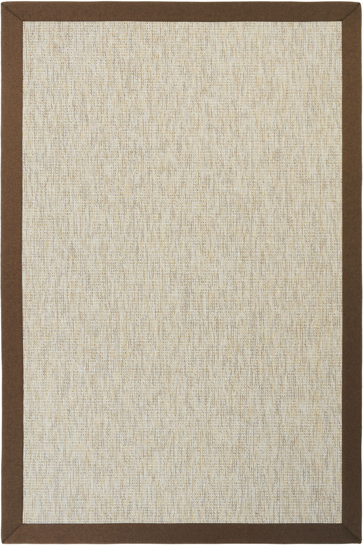 Roman Beige Cream Brown Border Sisal Minimalist Stainproof Home Living Room Balcony Rug