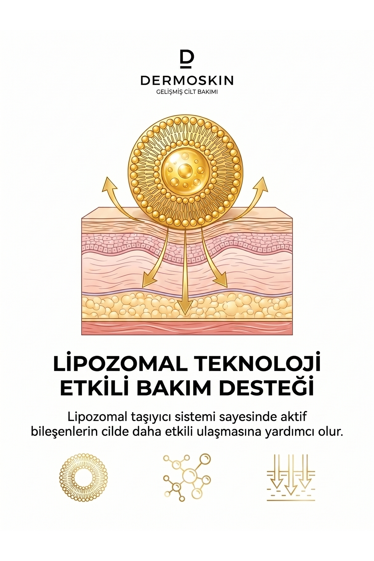 CİCA Liposomal Kafein Kompleks Göz Serumu | Yaşlanma ve Kırışıklık Karşıtı | 30 ml — 8697796003135 — تصویر 9 از 9