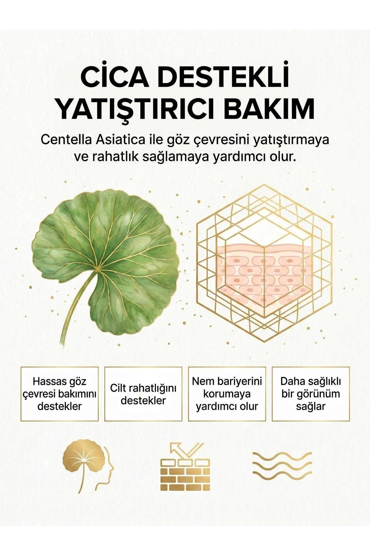 CİCA Liposomal Kafein Kompleks Göz Serumu | Yaşlanma ve Kırışıklık Karşıtı | 30 ml — 8697796003135 — تصویر 8 از 9