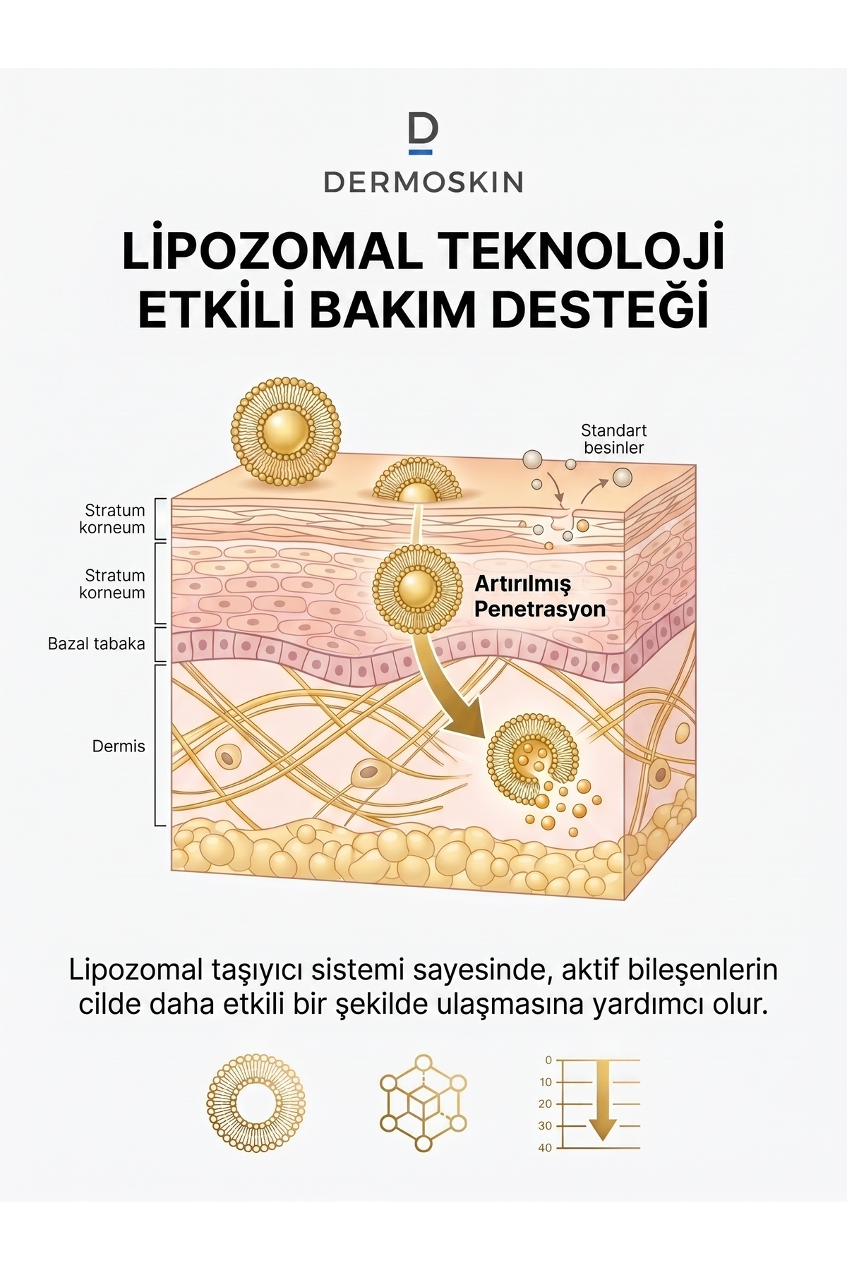 CİCA Liposomal Kolajen Peptit Kompleks Serum | Yaşlanma ve Kırışıklık Karşıtı | 30 ml — 8697796003128 — تصویر 4 از 8