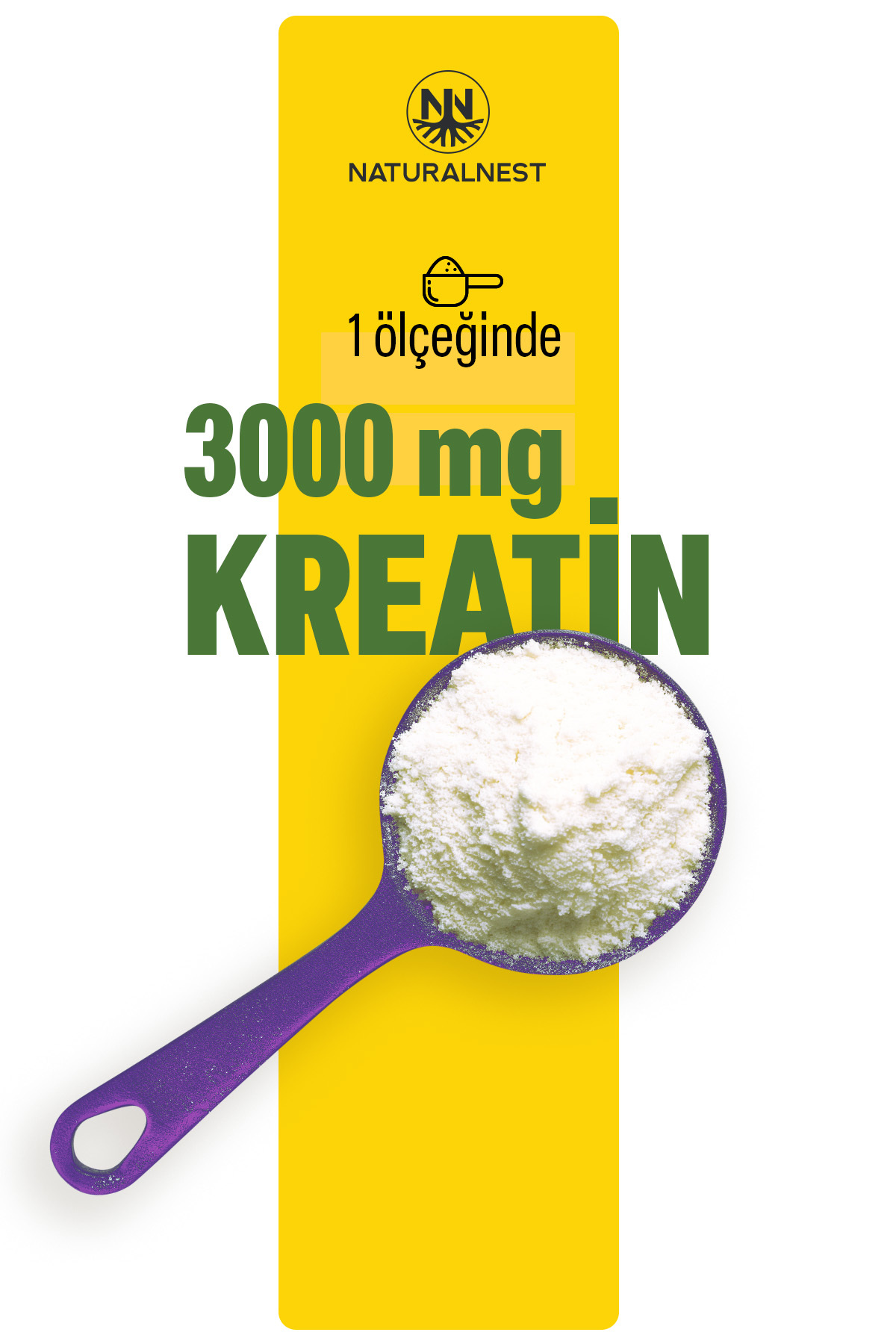 Kreatin Monohidrat 3000 mg - 170,65 g - 50 Servis - Aromasız 3