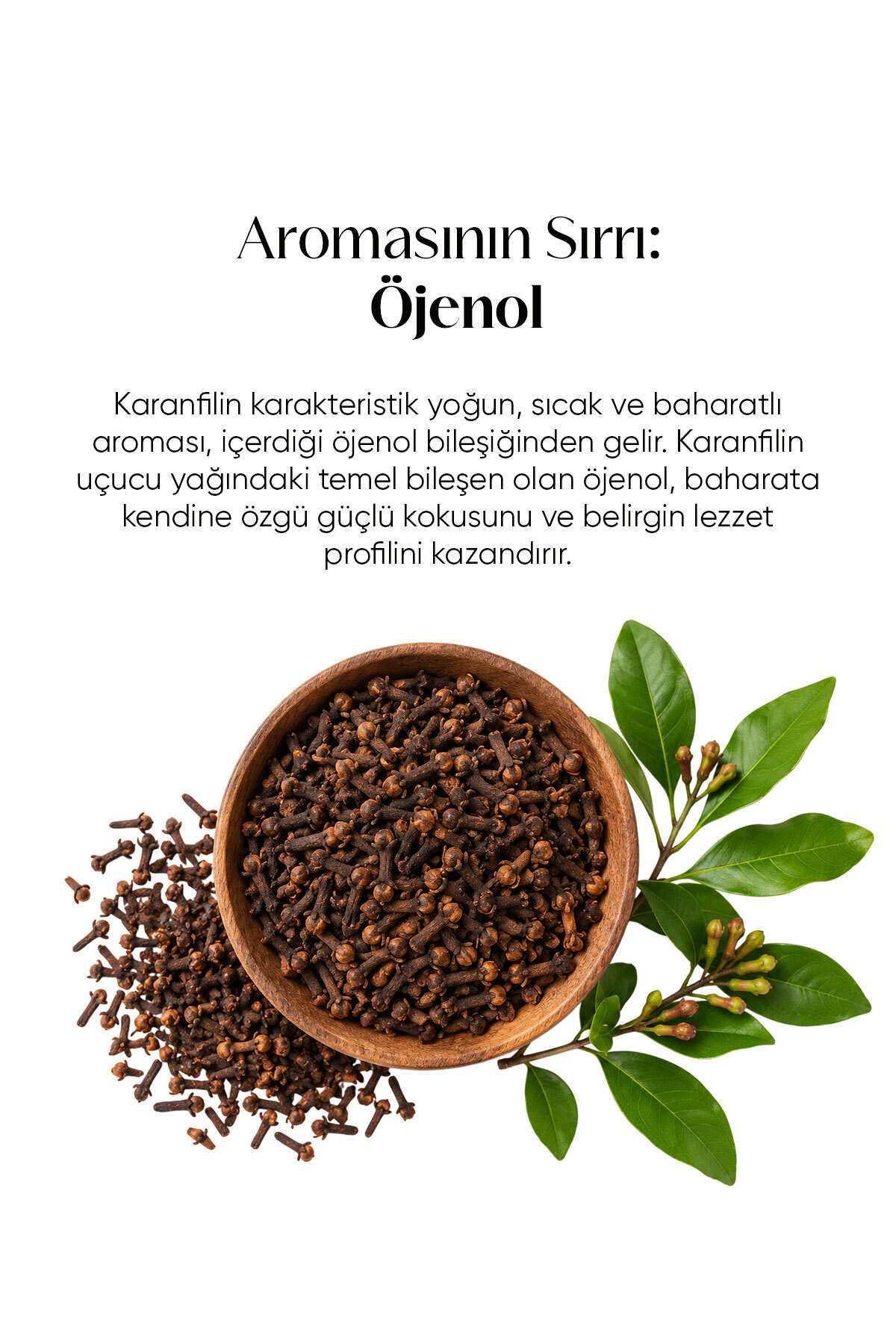میخک 40 گرم