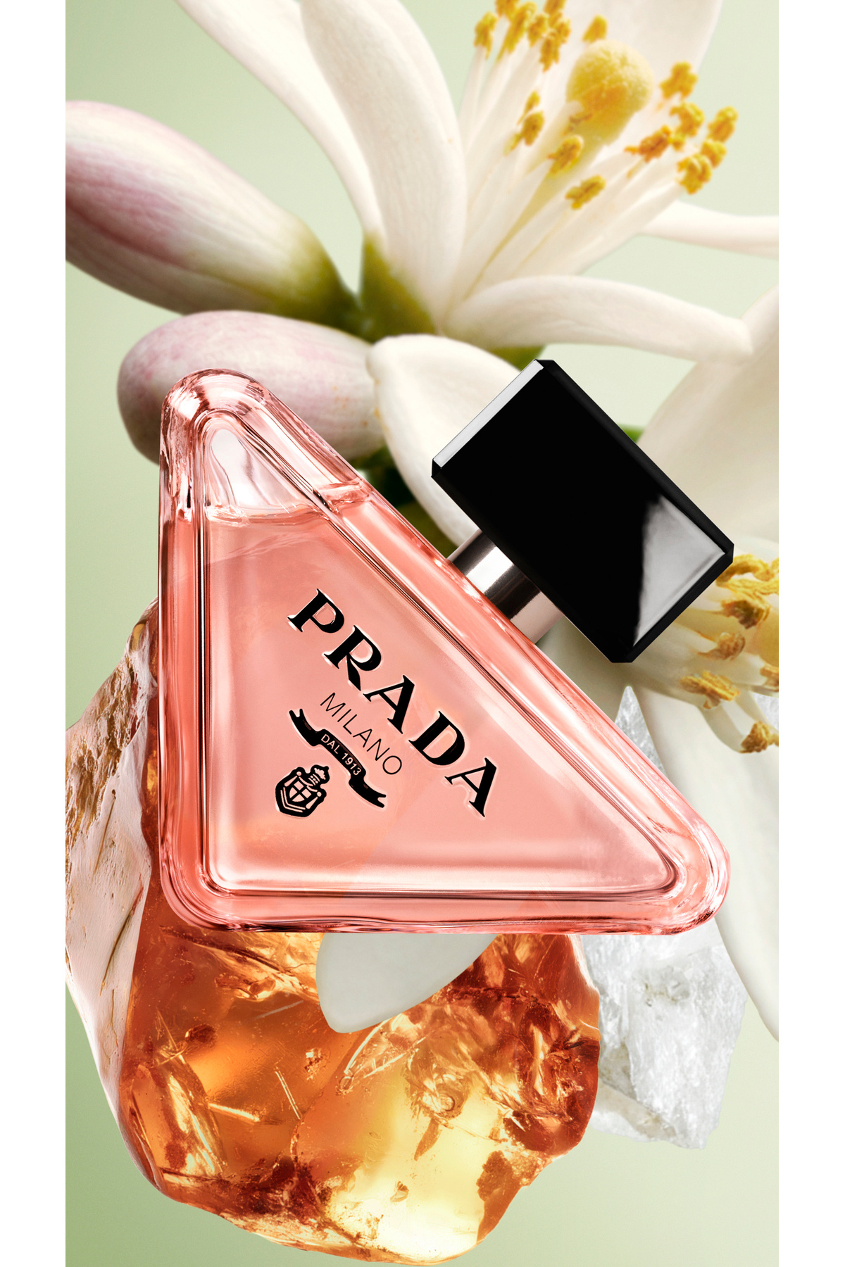 Paradoxe EDP 30 ml & Refill 100 ml Parfüm Seti 7829999999312 — VB829313 — تصویر 3 از 3