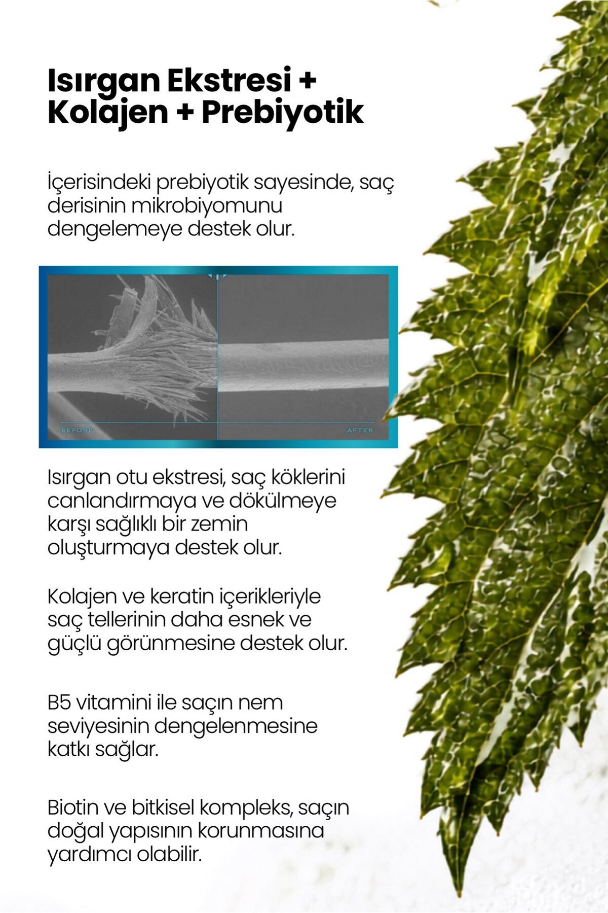 Kolajen, Isırgan Otu, Prebiyotik Şampuan - Dökülen Ve Geç Uzayan Yağlanma Karşıtı — icollagen01 — تصویر 7 از 9