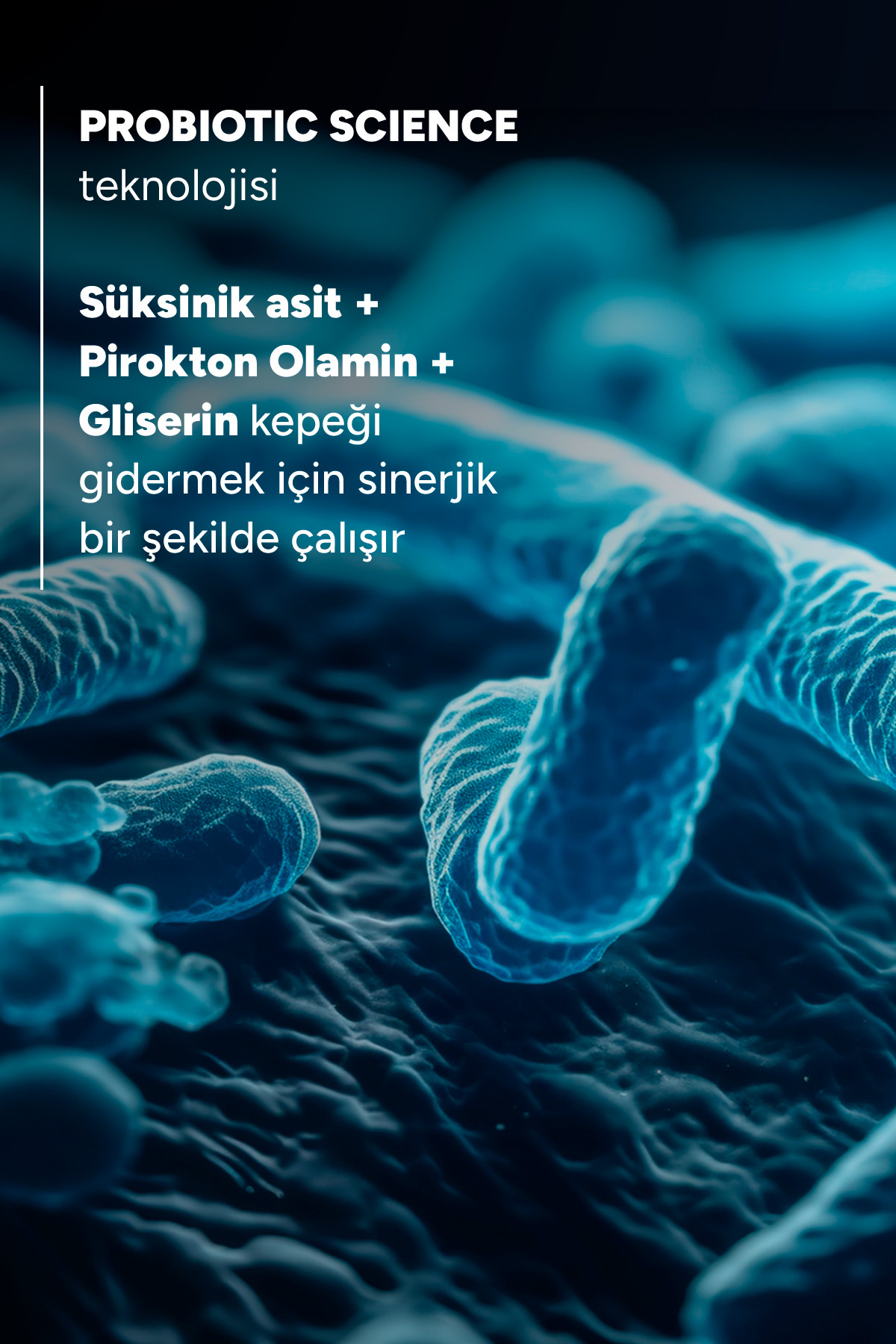 Kelual Squanorm Kuru Saçlar için Kepek Karşıtı Şampuan Refill 400 ml — 743127 — تصویر 4 از 7