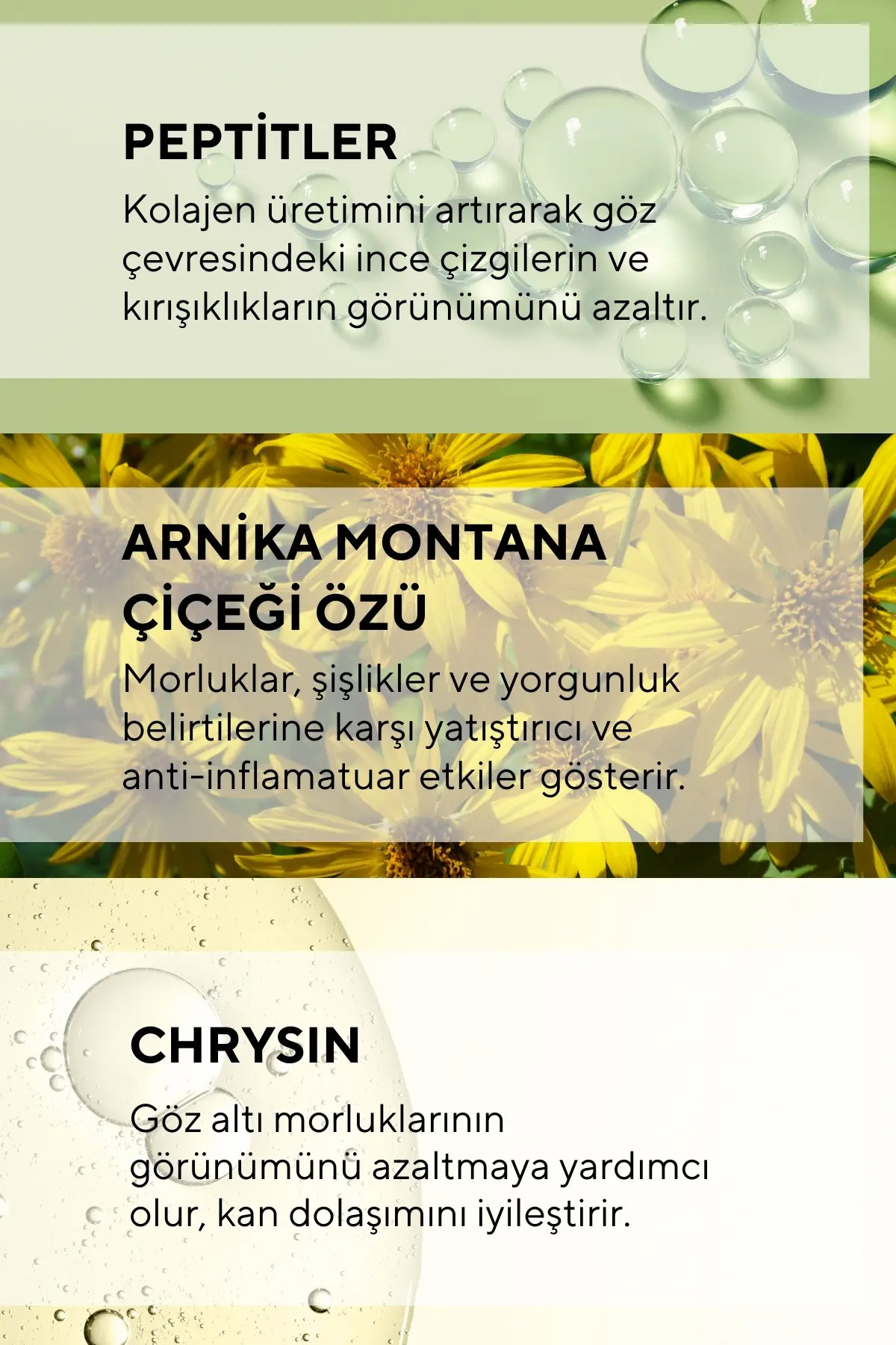 Göz Altı Torbalanma ve Morluk Karşıtı Arnica Montana Özlü Krem 12 ML — TCGK0001 — تصویر 5 از 6