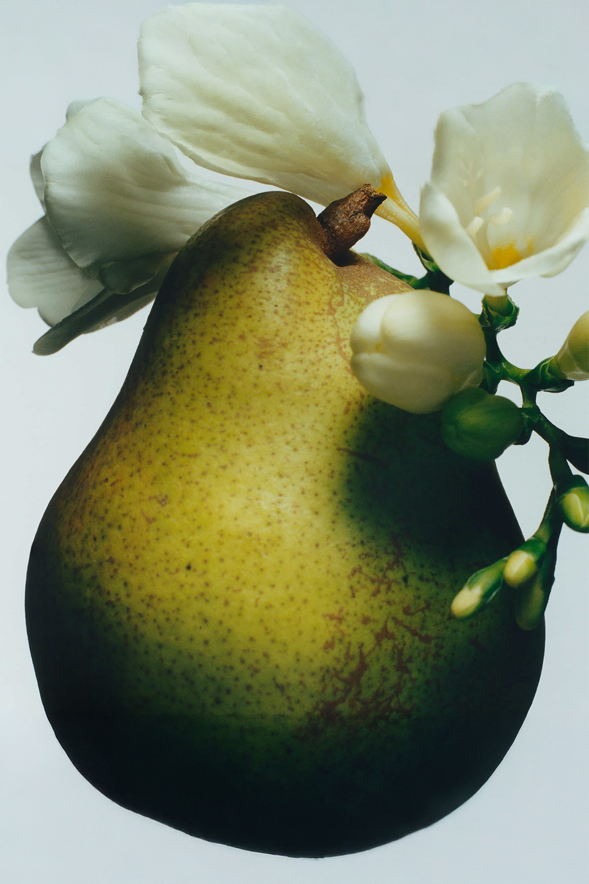 English Pear & Freesia Vücut Kremi 175ml — PRA-2137368-1912 — تصویر 2 از 2