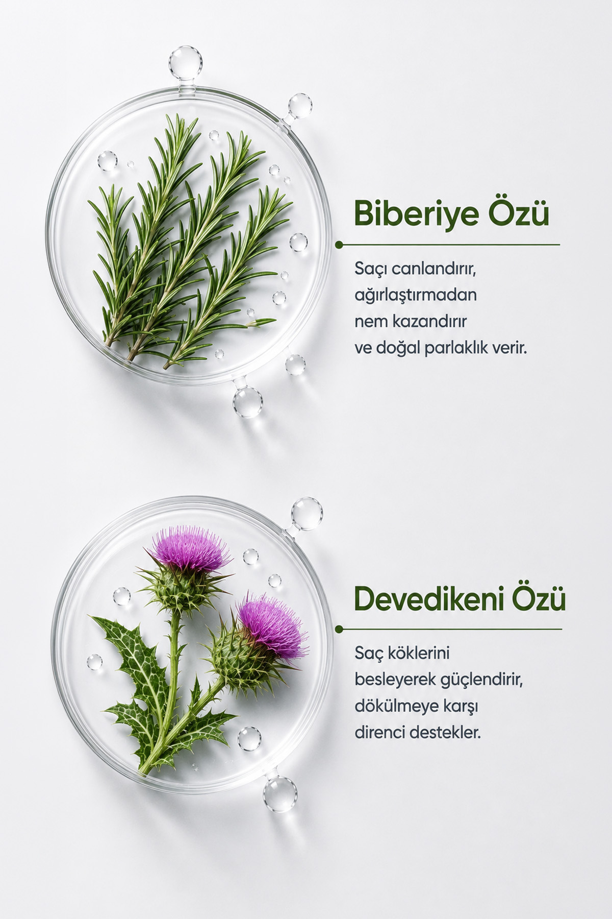 Biberiye Canlandırıcı Bakım Saç Kremi – Yağlı ve Cansız Saçlar (300 ml) — 90517 — تصویر 4 از 5