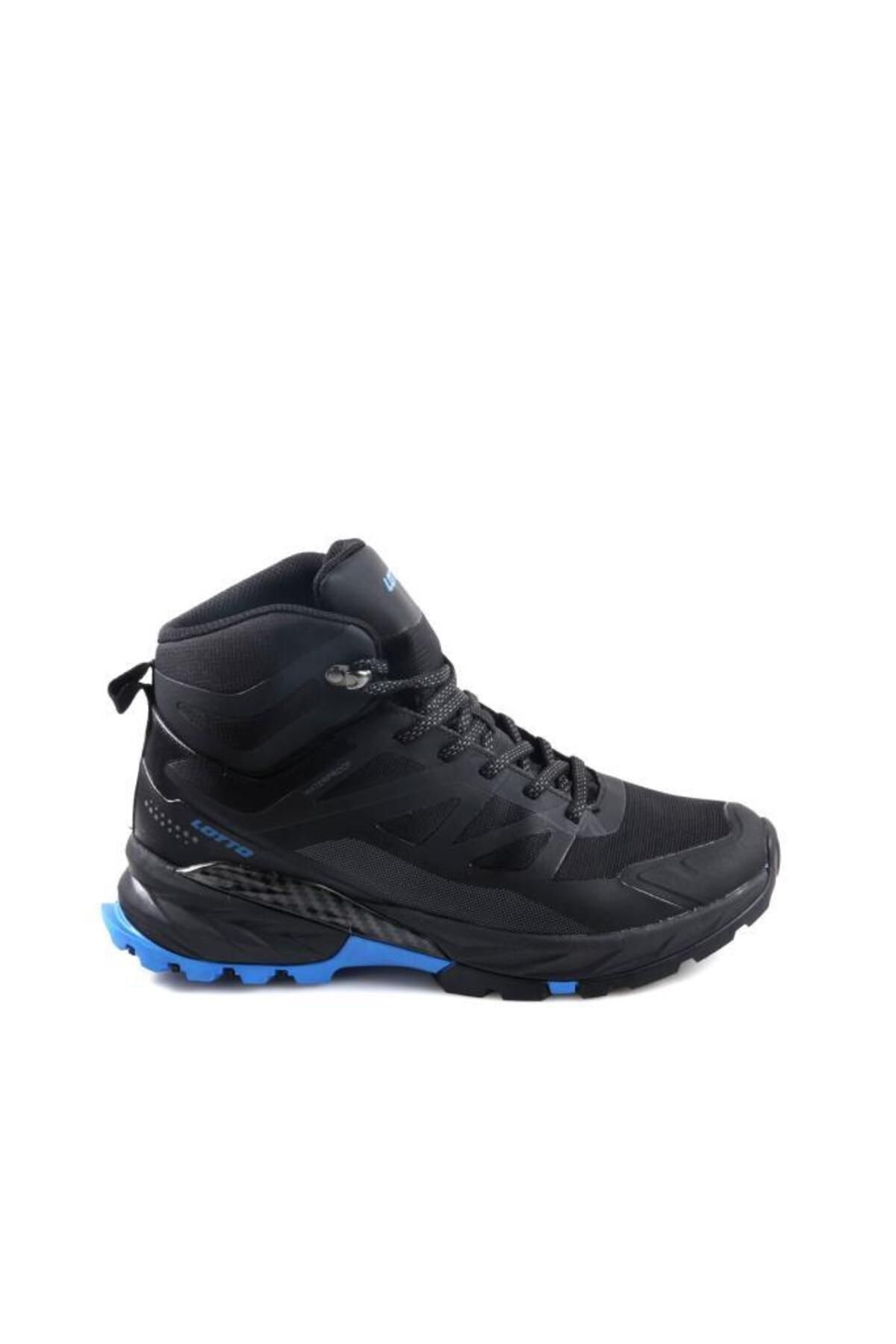 X lotto 3937 new arrivals