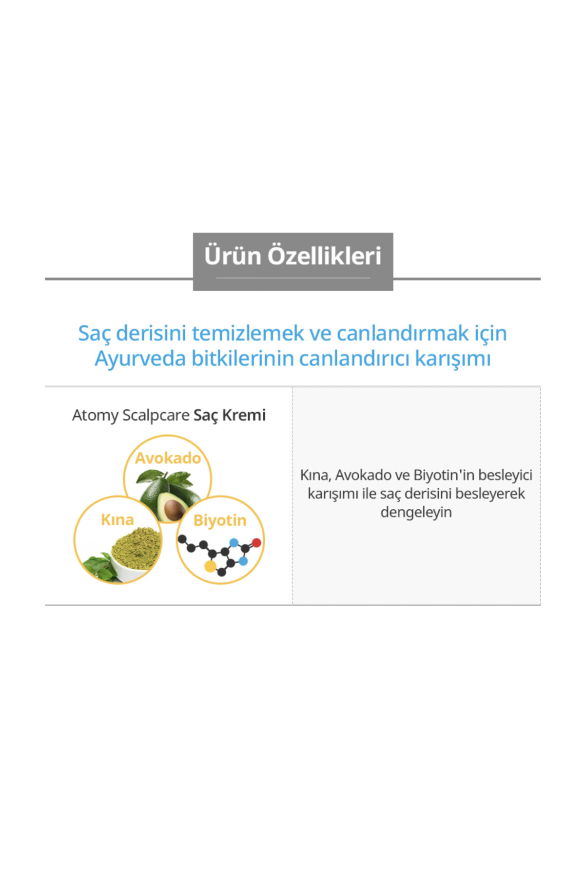 Scalpcare Haır Saç Kremi 500 Ml — P41S8182 — تصویر 3 از 5