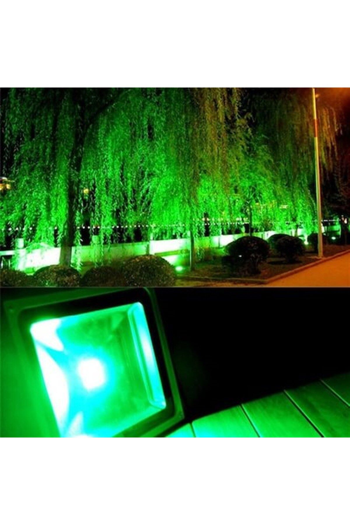 Воду освещают зеленым. Подсветка деревьев прожекторами. Уличный прожектор для подсветки деревьев. Зеленое освещение. Зеленый прожектор для подсветки деревьев.
