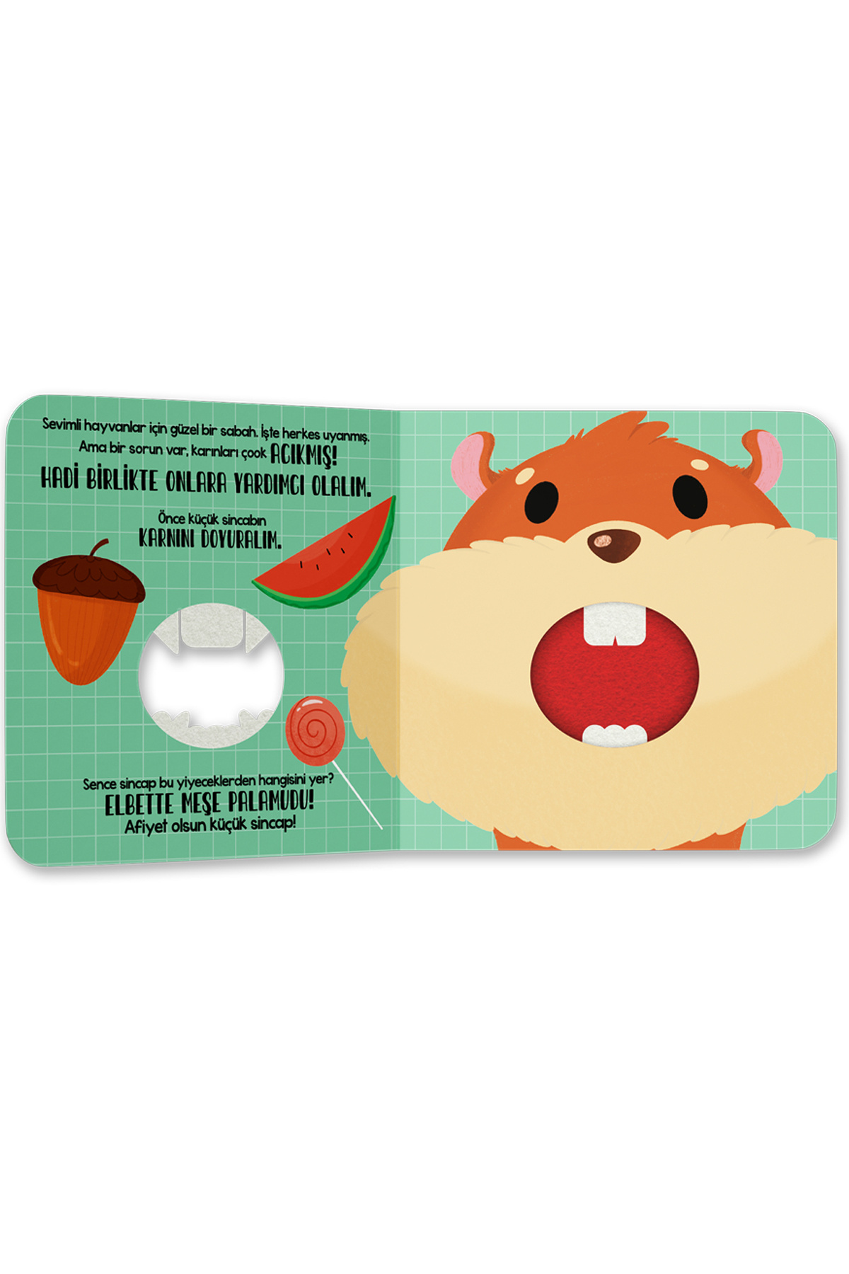 Neobebek Dişli Kitaplar Seti (2 Adet Dişli Kitap) fotoğrafı 3 (önizleme)