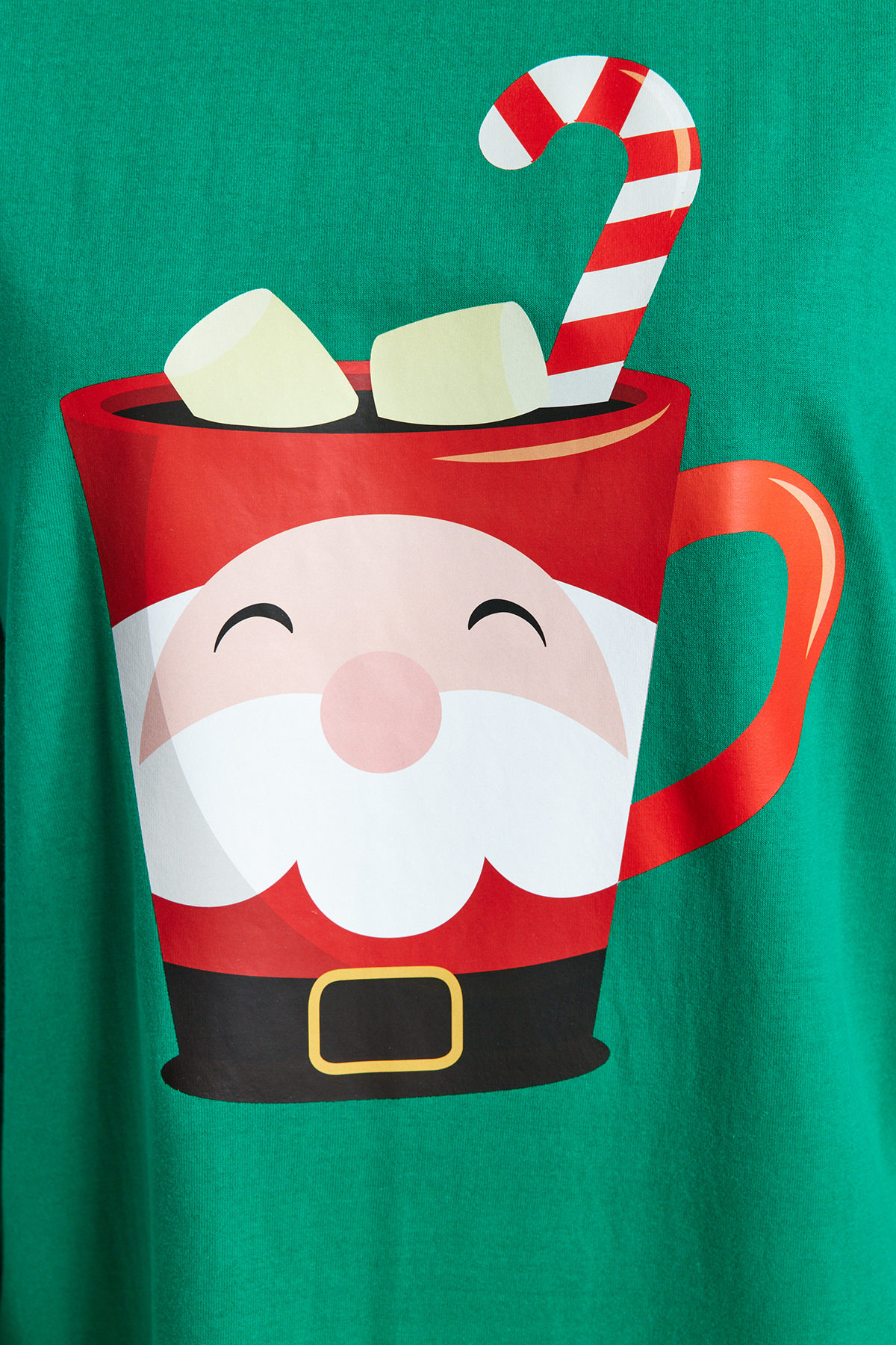 Trendyolmilla  Yeşil %100 Pamuklu Yılbaşı Temalı Örme Pijama Takımı THMAW24PT00059 - Görsel 5