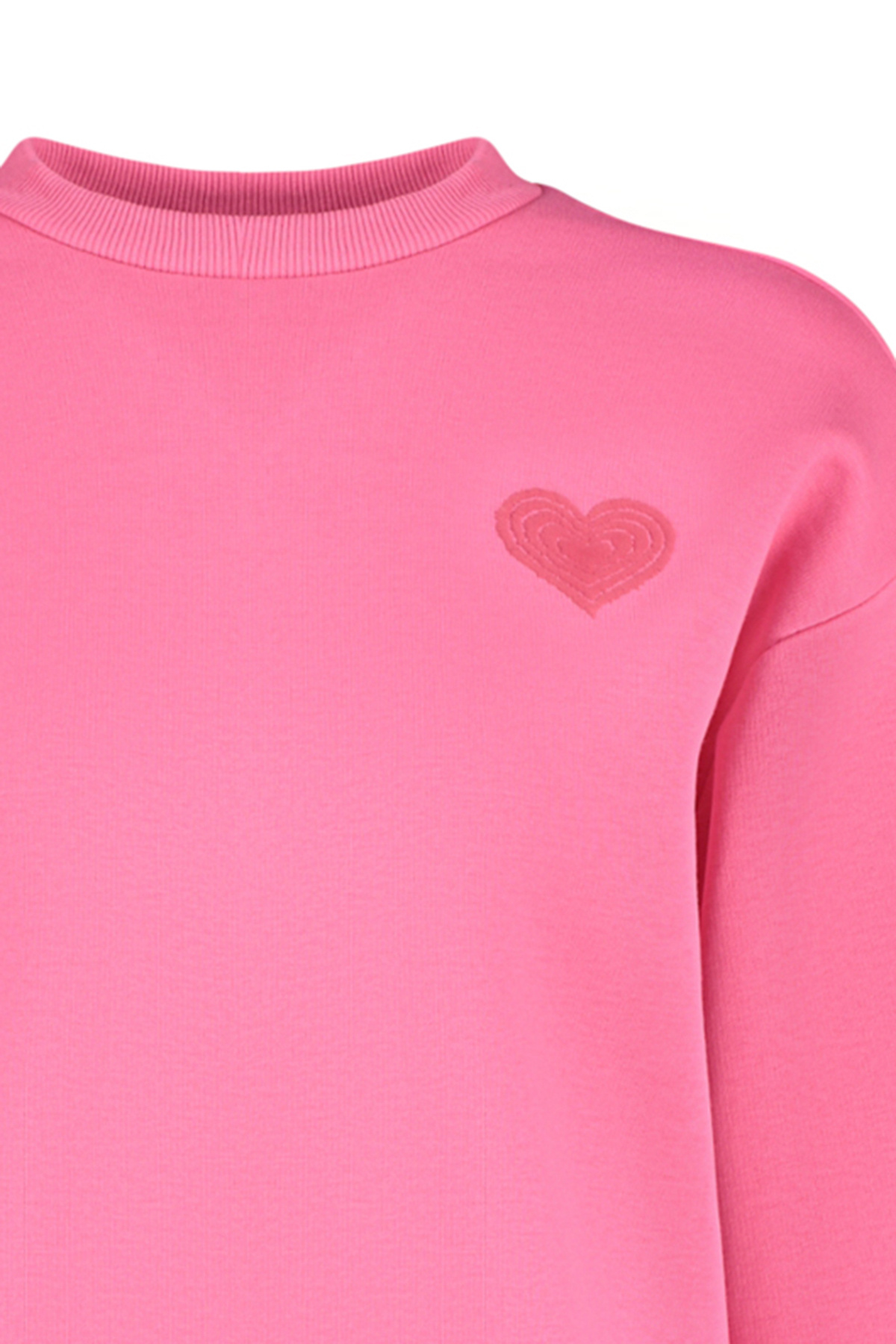 Trendyolmilla  Pembe Kalın İçi Polarlı Göğüs ve Sırt Kabartma Baskılı Oversize Örme Sweatshirt TWOAW24SW00226 - Görsel 6