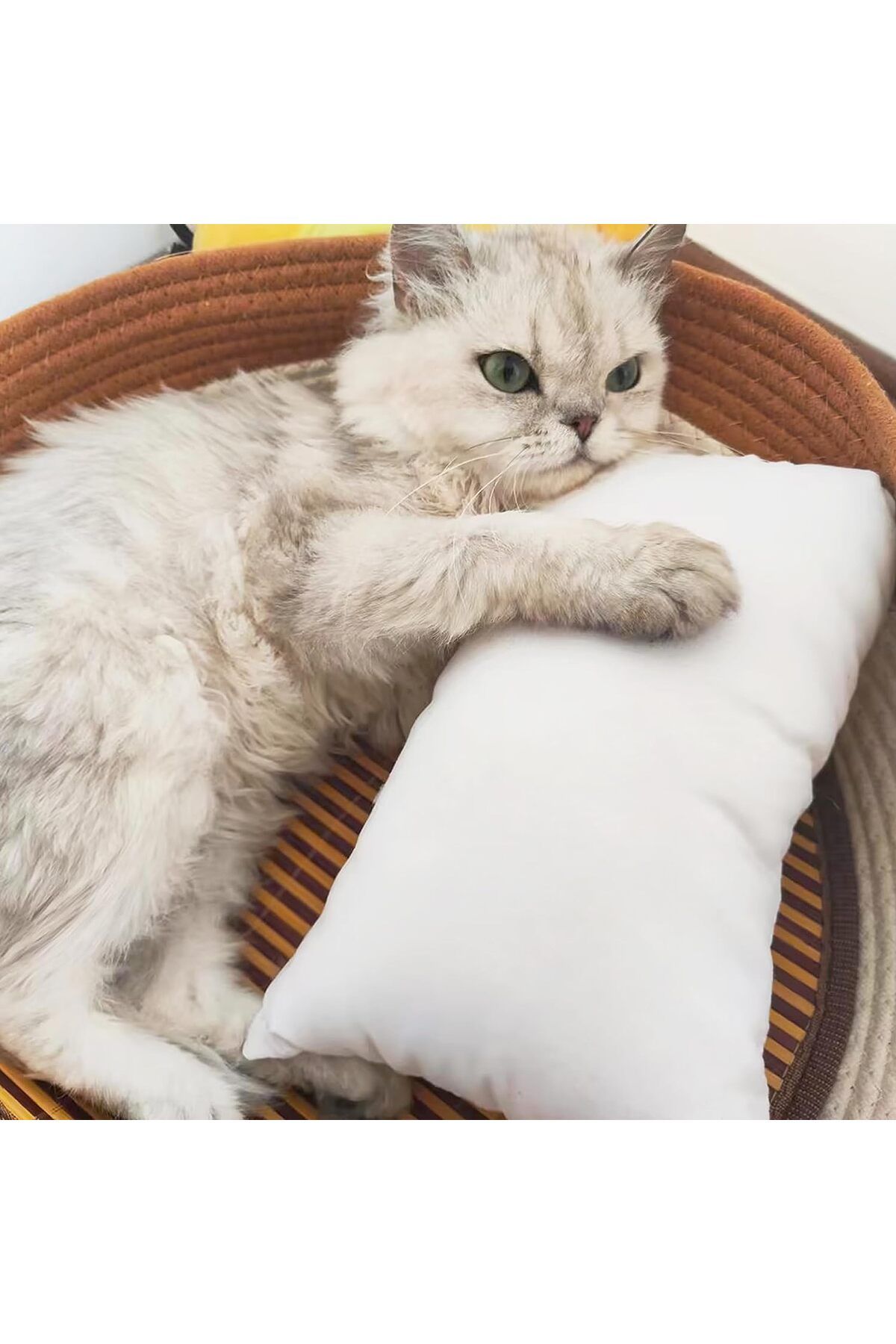 z Concept z Prime 2 Pieces Cat Dog Pillow Sleeping Pillow 20x30