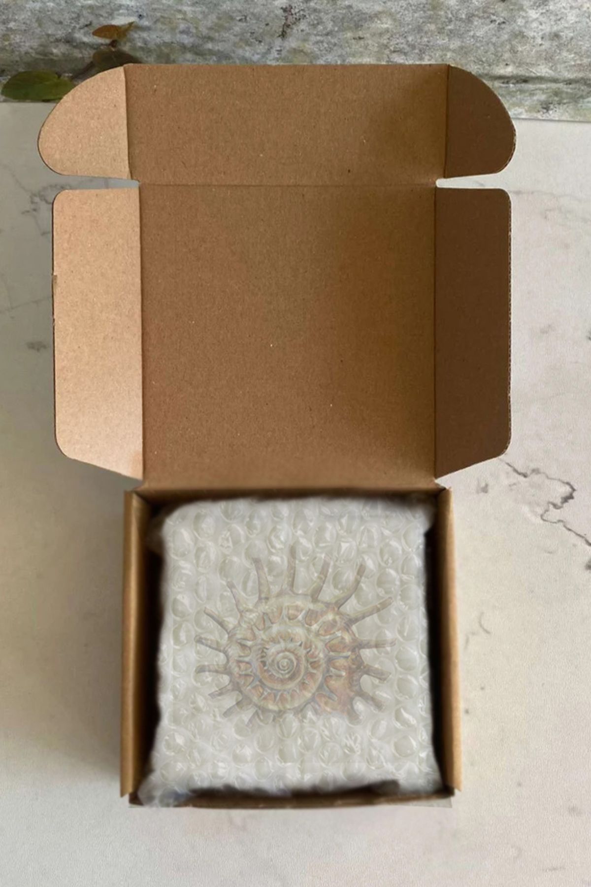 Gri Grafik Design Workshop-Sea Shell Theme Uv Printed Stone Coasters Set of 4 Mod-1 4