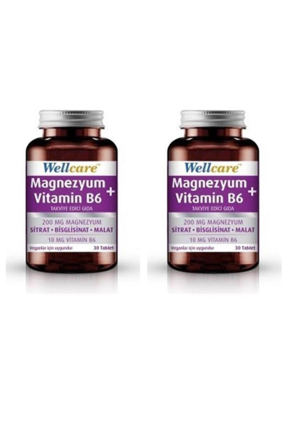 Wellcare Magnezyum + Vitamin B6 30 Tablet 2 Kutu - Fiyatı, Yorumları