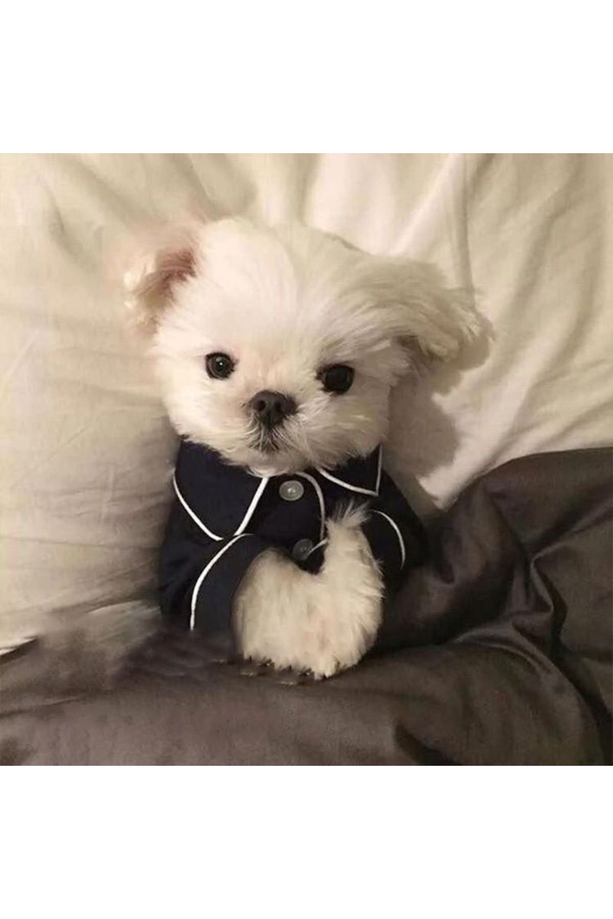 Köpek Pijamasi Köpek Kıyafeti