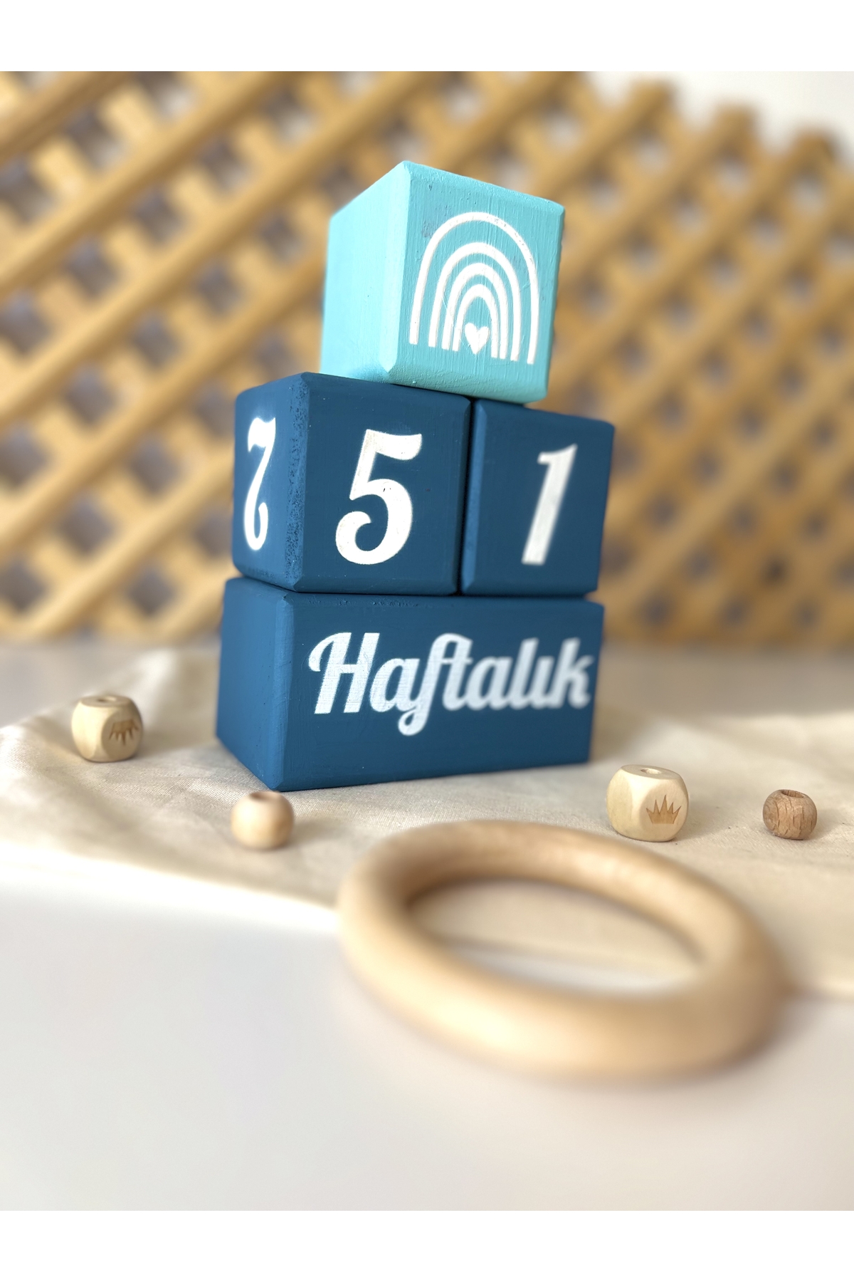 Renkli Ahşap Oyuncaklar