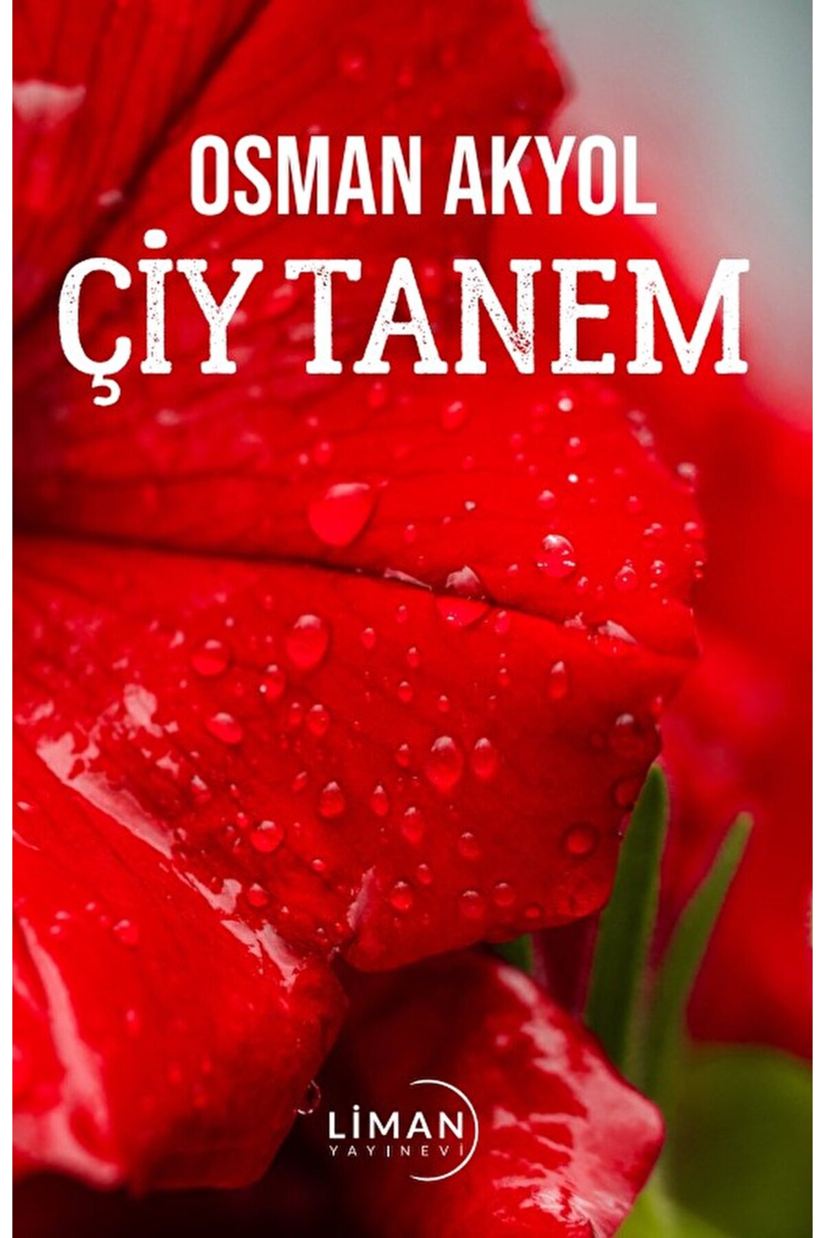 Çiy Tanem / Osman Akyol / Liman Yayınevi / 9786256500525
