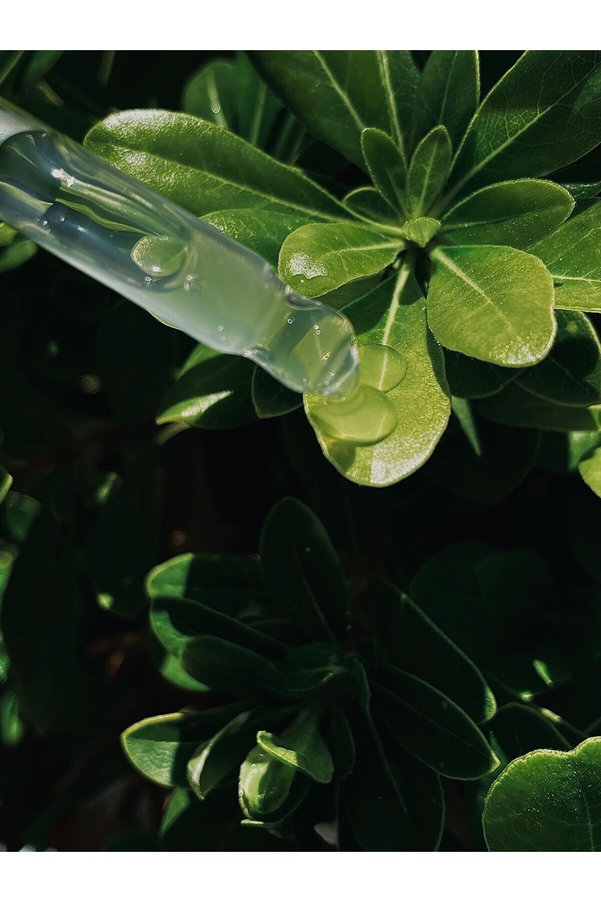 سرم چشم   CUTİS LAB | THKK اورجینال - تصویر 3