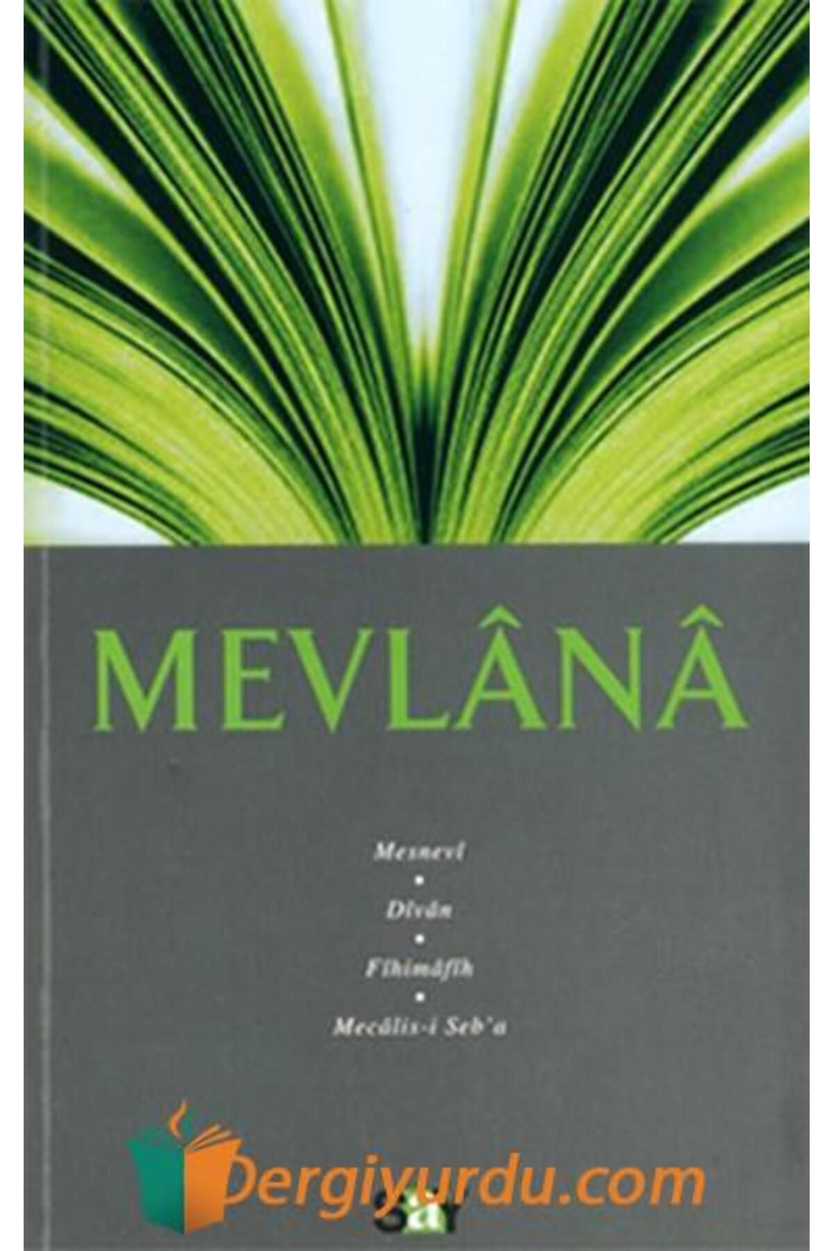 Say Yayınları Mevlana