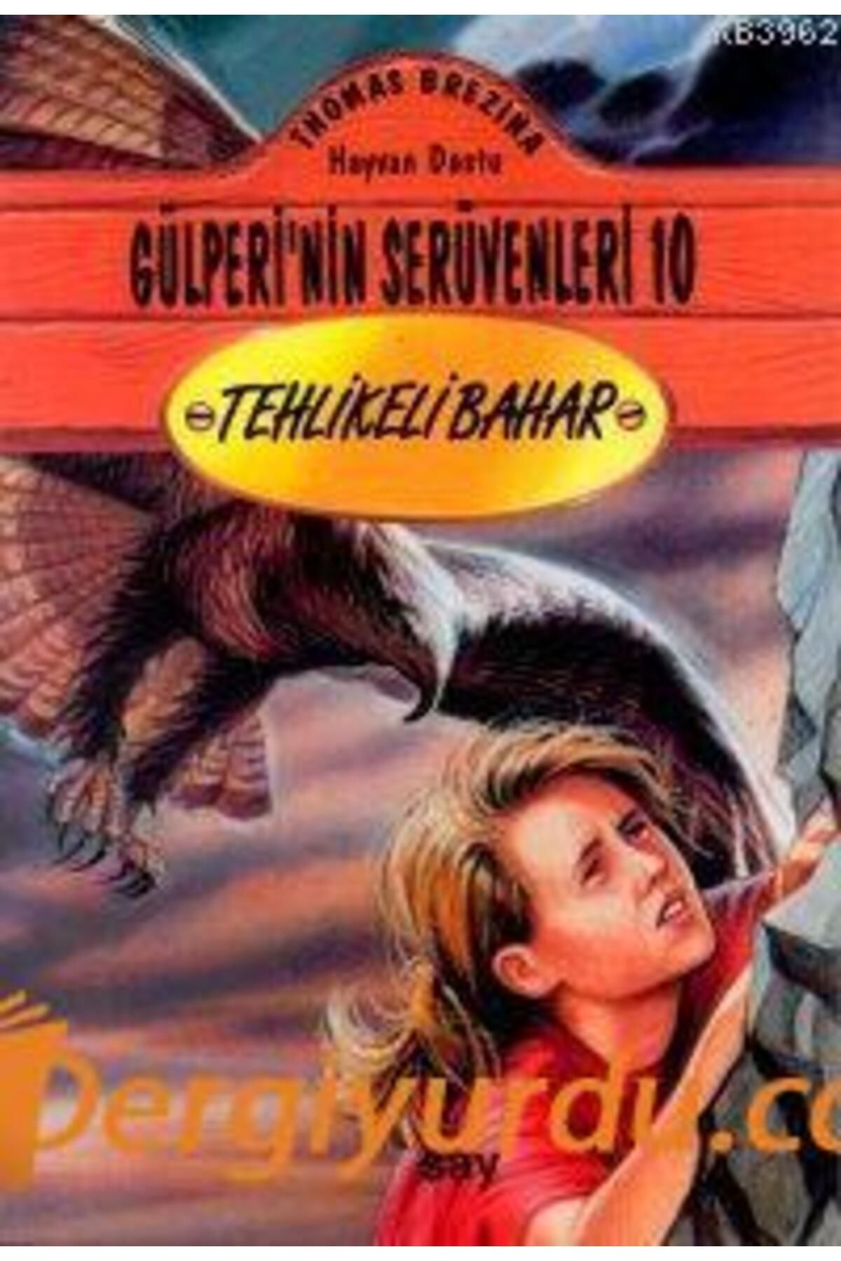 Say Yayınları Tehlikeli Bahar