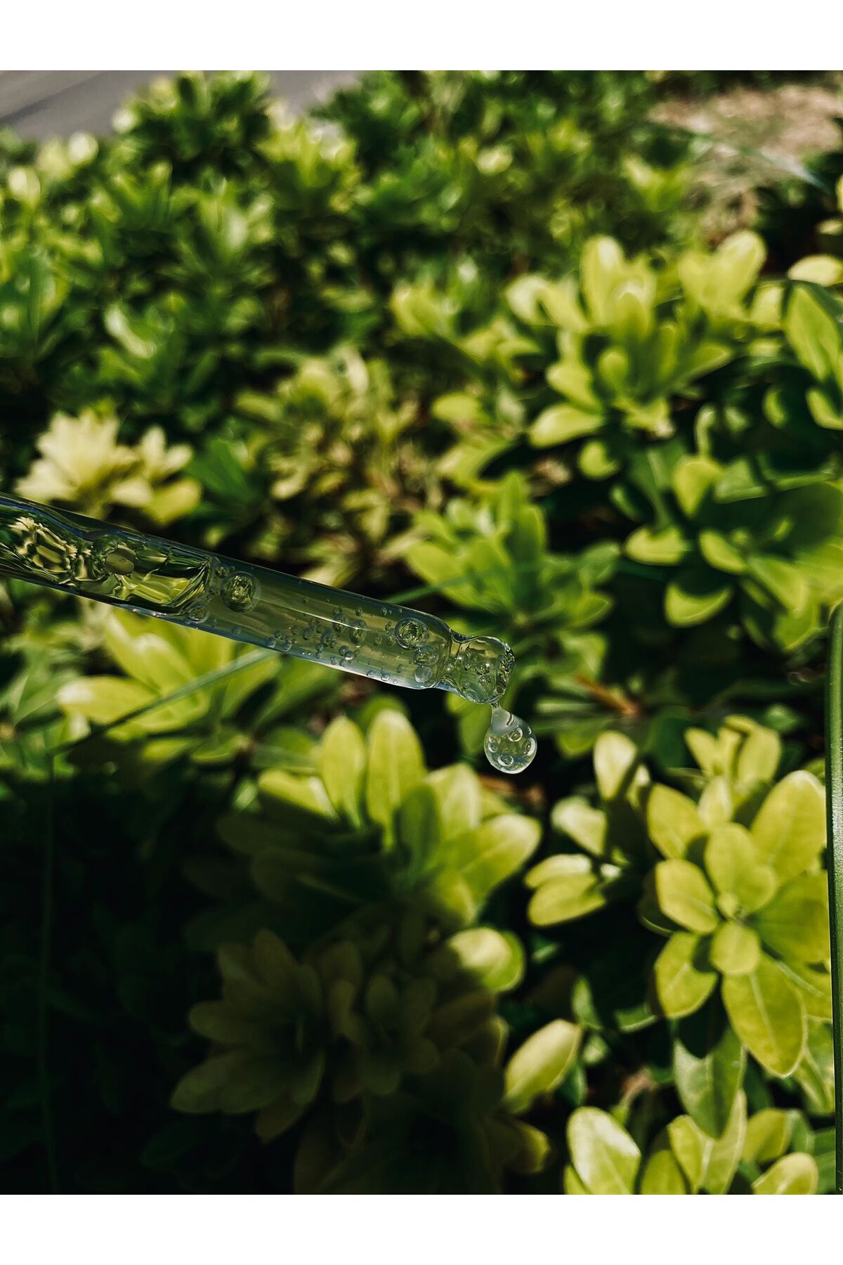 سرم پوست   CUTİS LAB | fgjj اورجینال - تصویر 3