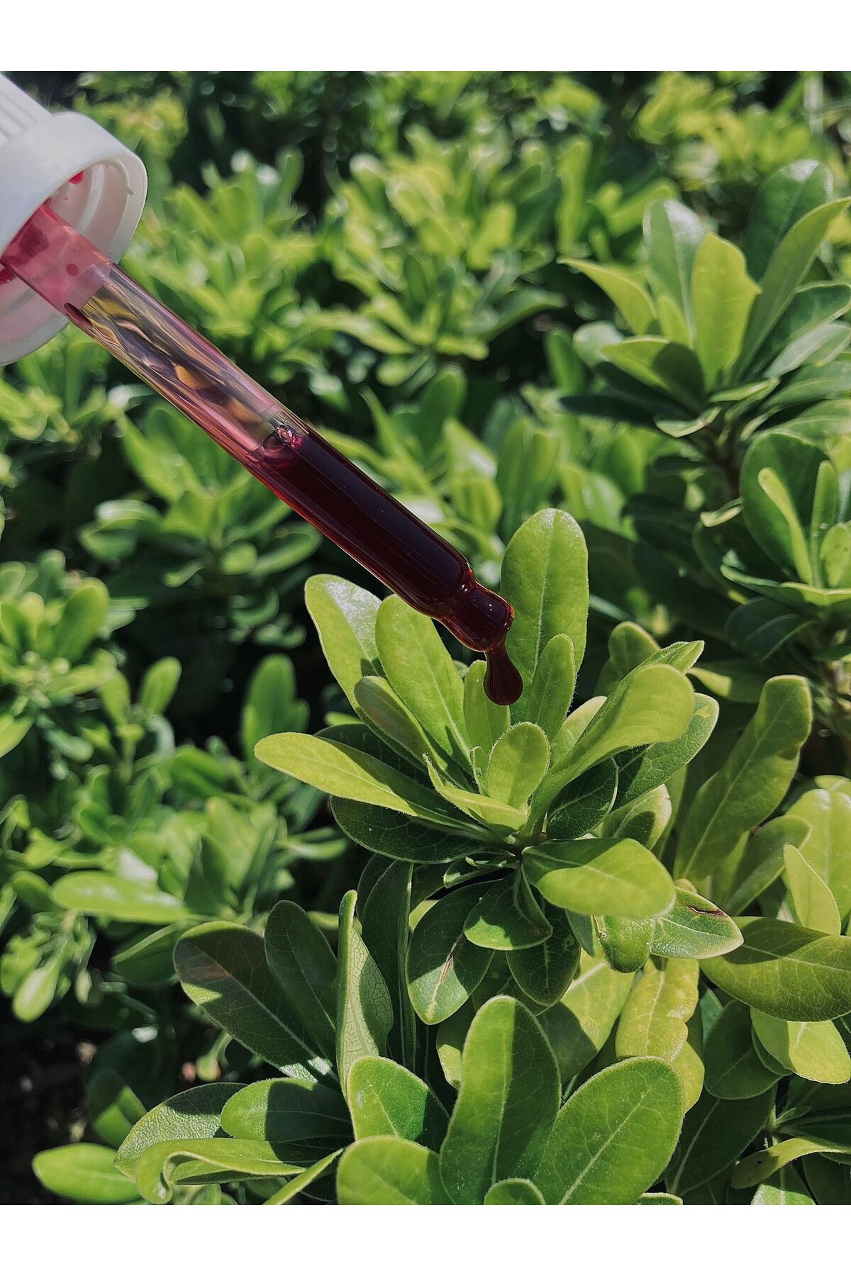 سرم پوست   CUTİS LAB | GHKK اورجینال - تصویر 3