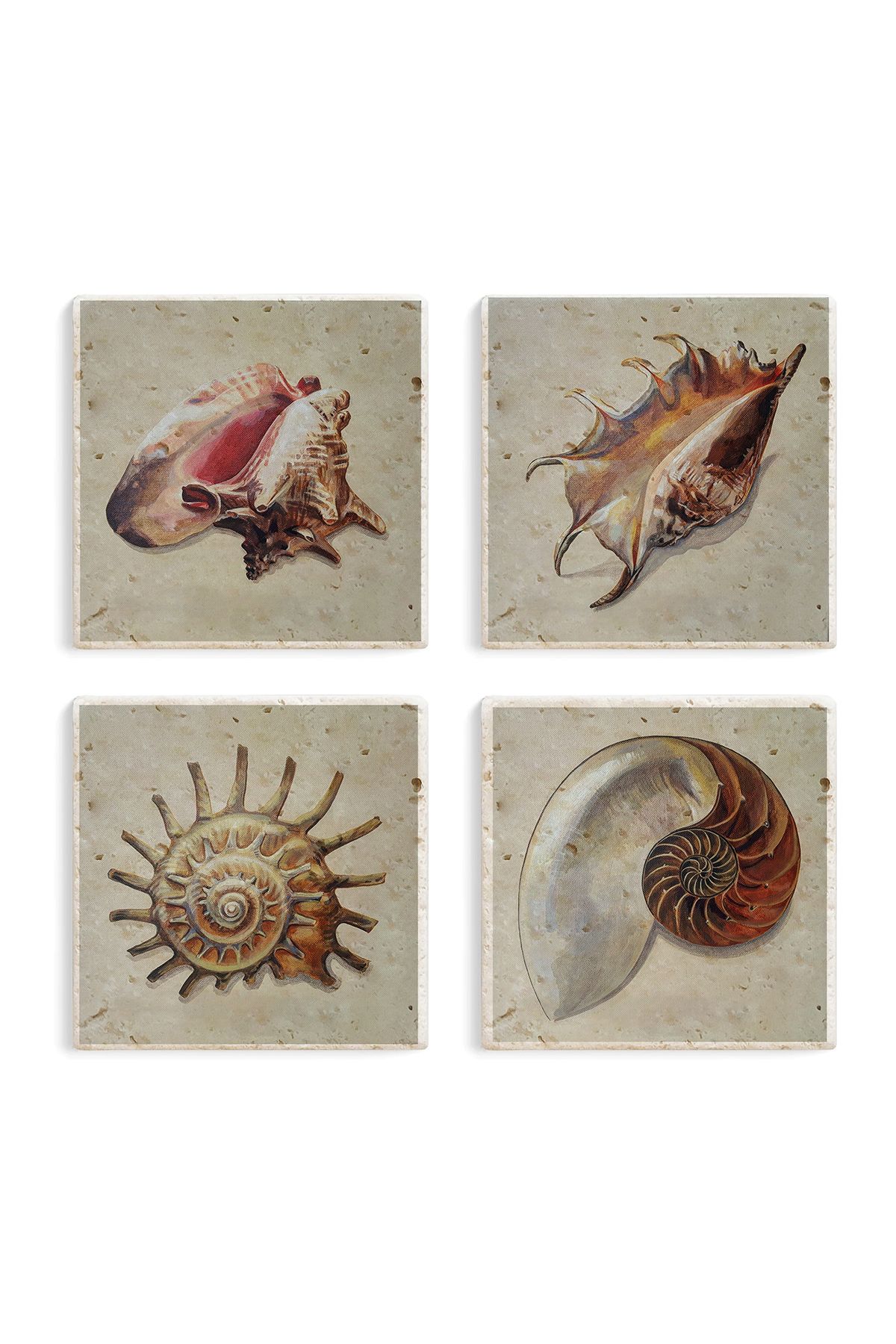 Gri Grafik Design Workshop-Sea Shell Theme Uv Printed Stone Coasters Set of 4 Mod-1 5