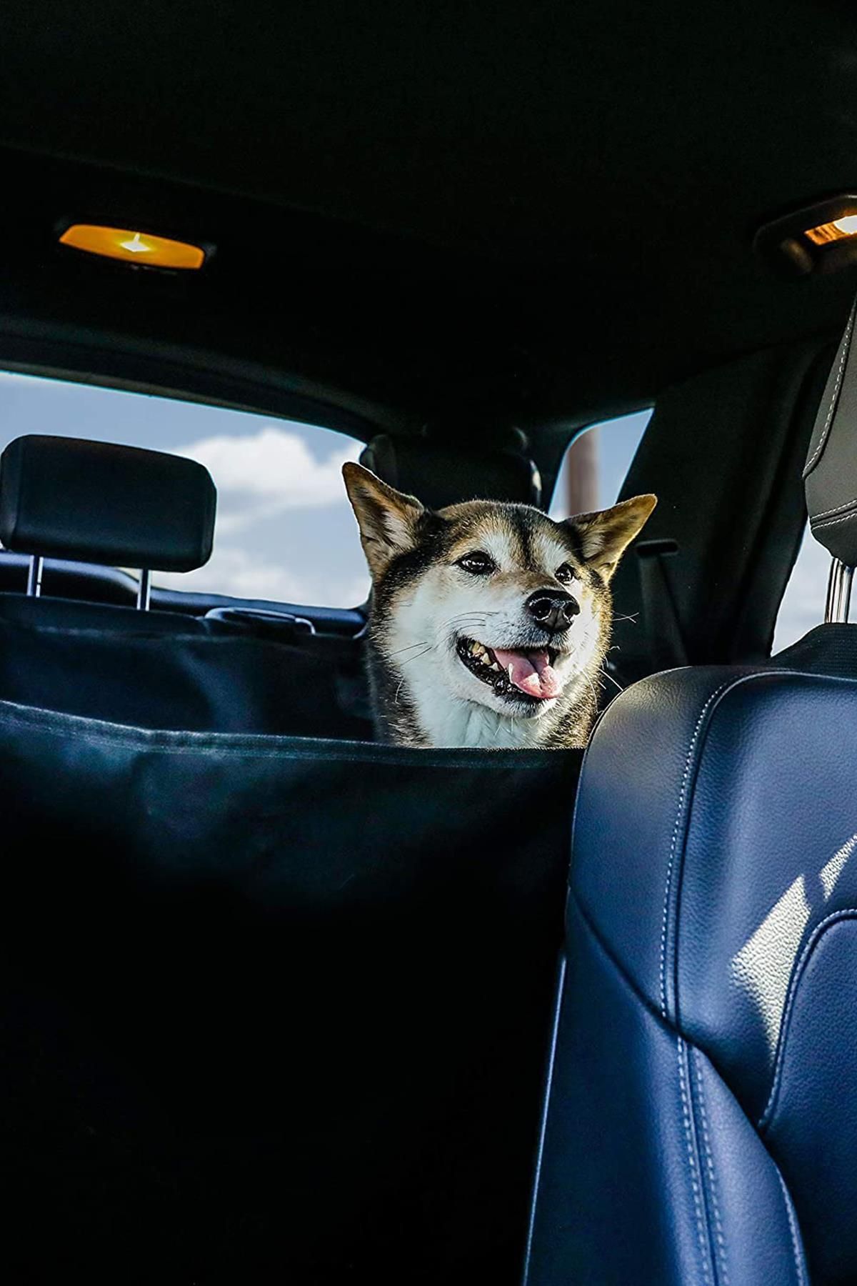 joseki-Cat Dog Vehicle Auto Pet Back Seat Cover Liquid Proof Car Waterproof Luggage Cover 3