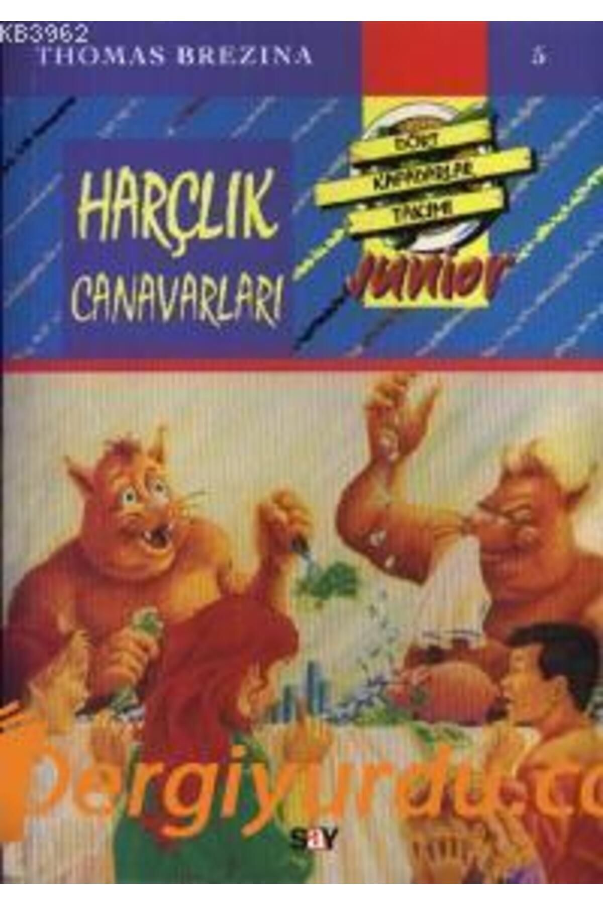 Say Yayınları Harçlık Canavarı