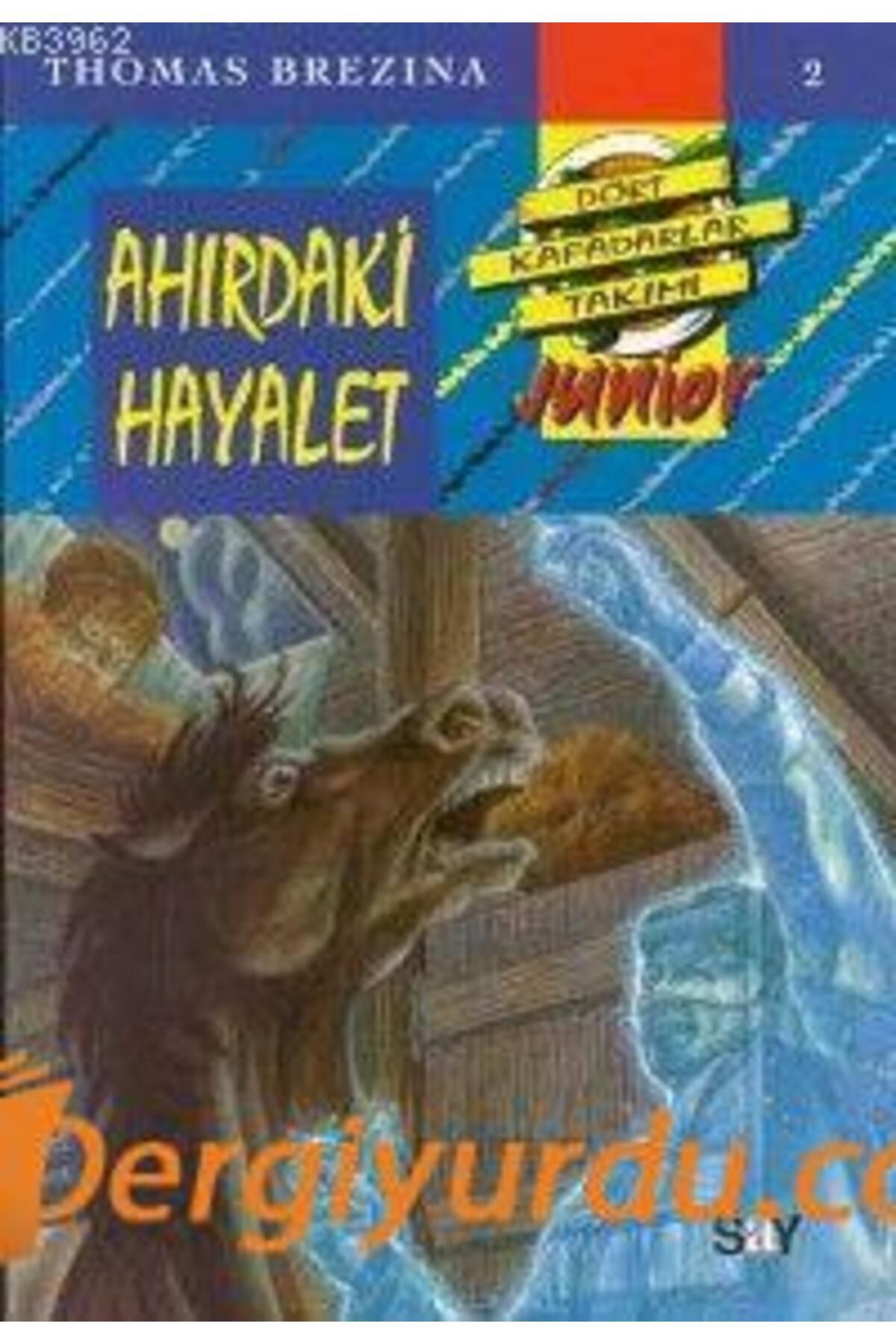 Say Yayınları Ahırdaki Hayalet