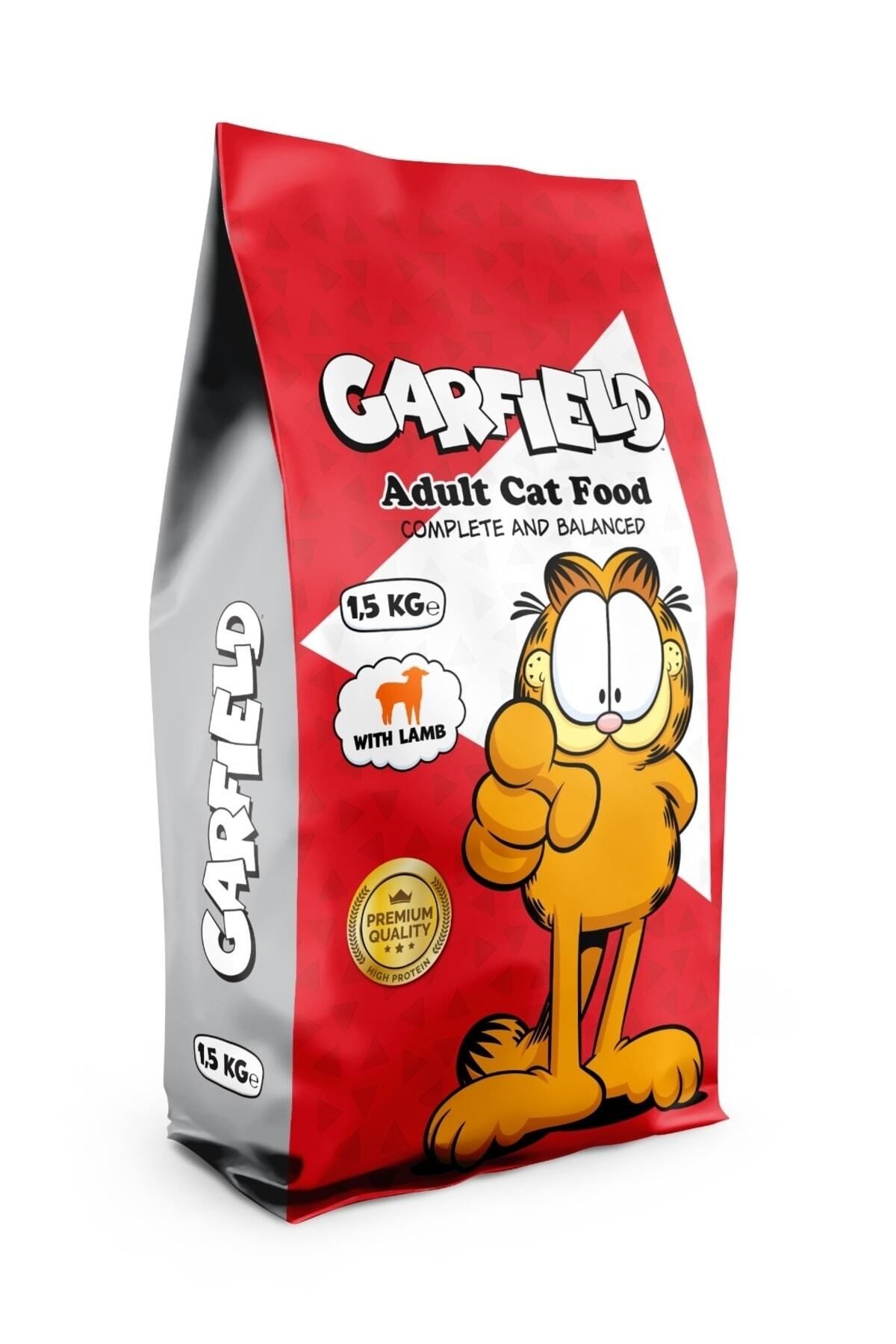garfield çizgi roman doğum günü