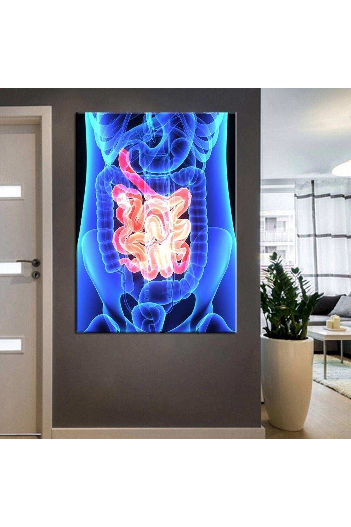 Poliklinik Klinik Hastane Dekorasyonu Medikal Hastane tabloları