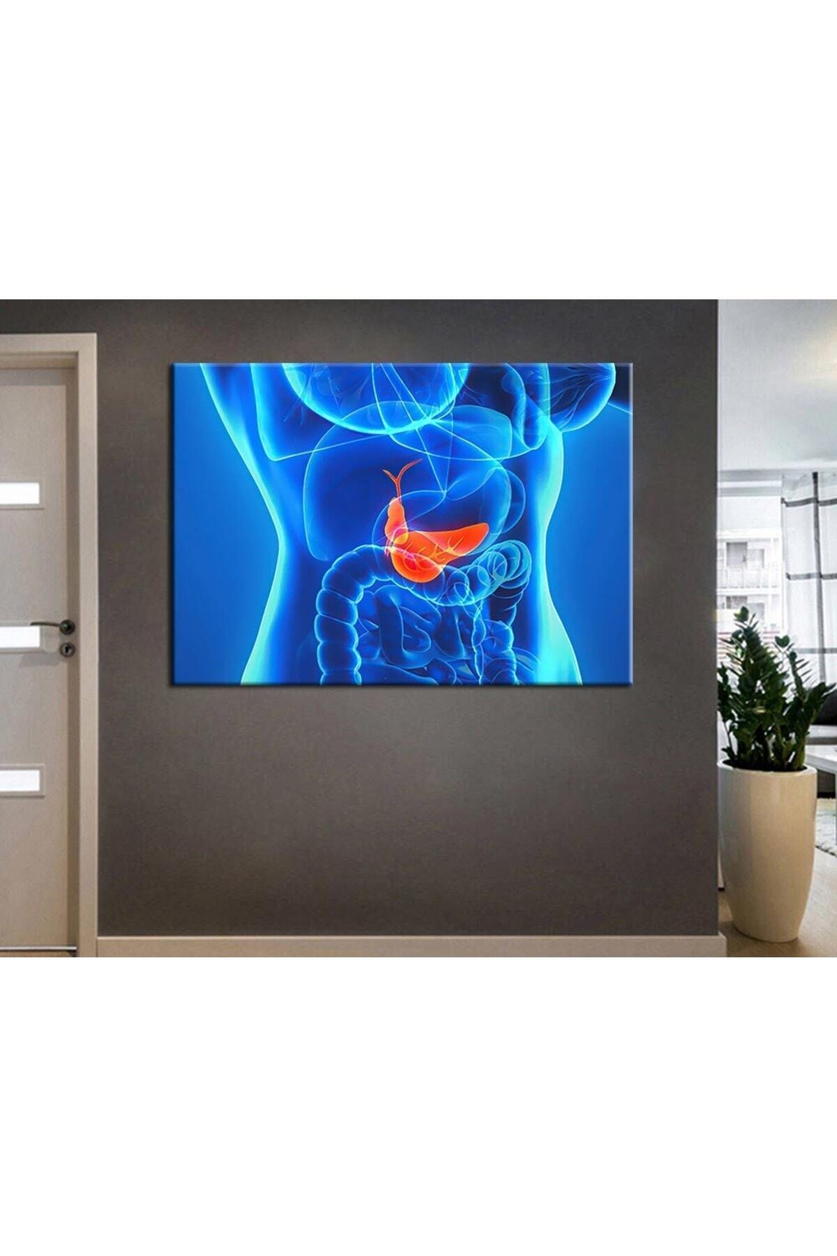 Poliklinik Klinik Hastane Dekorasyonu Medikal Hastane tabloları