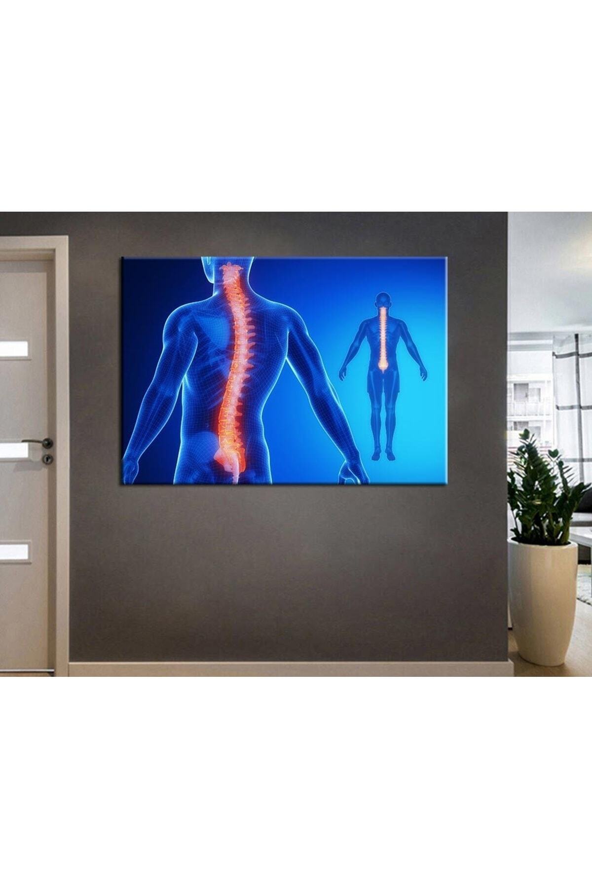 Poliklinik Klinik Hastane Dekorasyonu Medikal Hastane tabloları