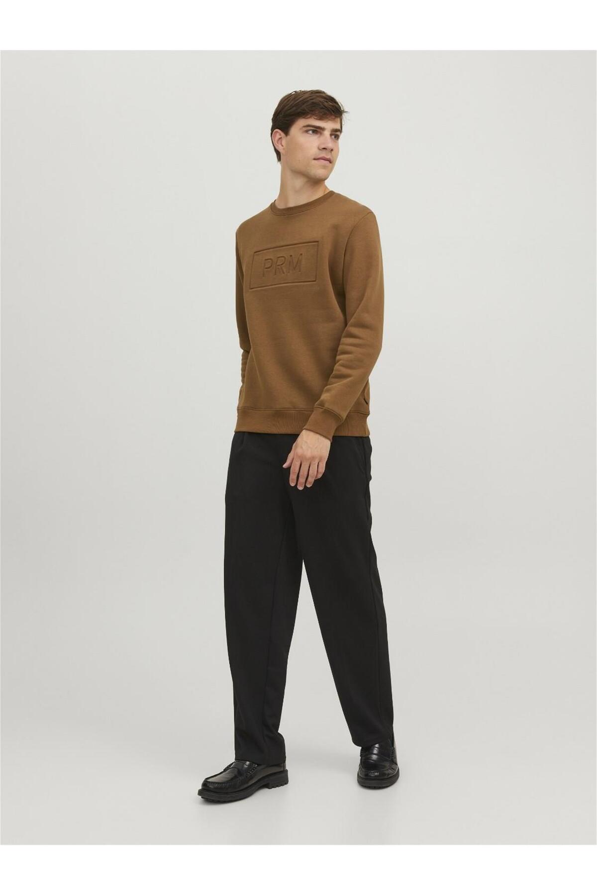 سویشرت جک اند جونز مردانه پارچه سبز اسپرت راسته Regular/رگولار    Regular/رگولار Daily/روزانه | Jack & Jones 12241106 TR - تصویر 4