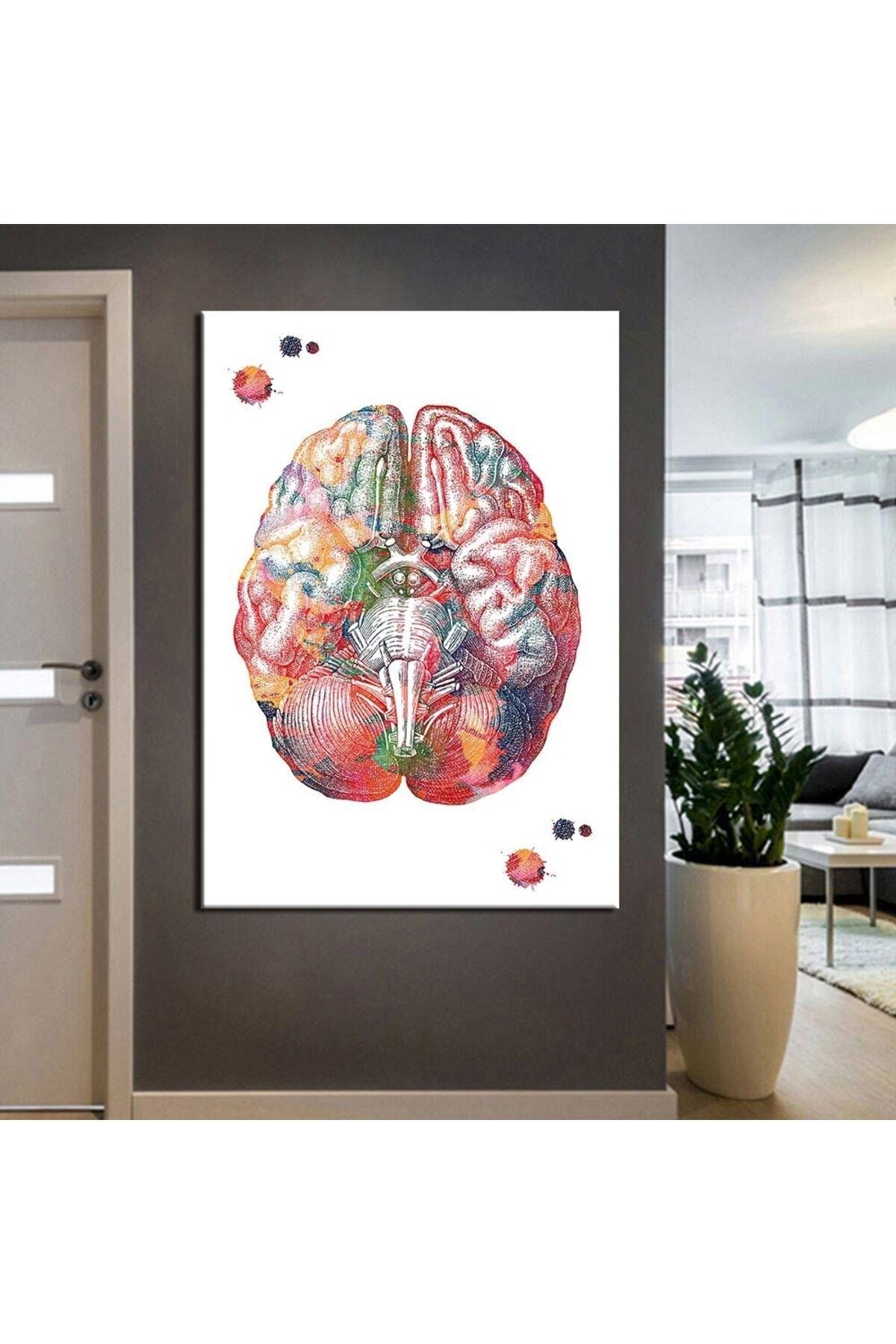 Poliklinik Klinik Hastane Dekorasyonu Medikal Hastane tabloları