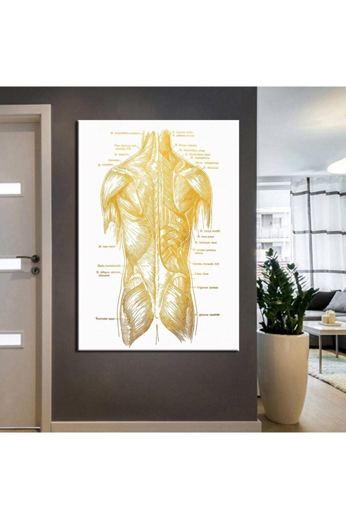 Poliklinik Klinik Hastane Dekorasyonu Medikal Hastane tabloları