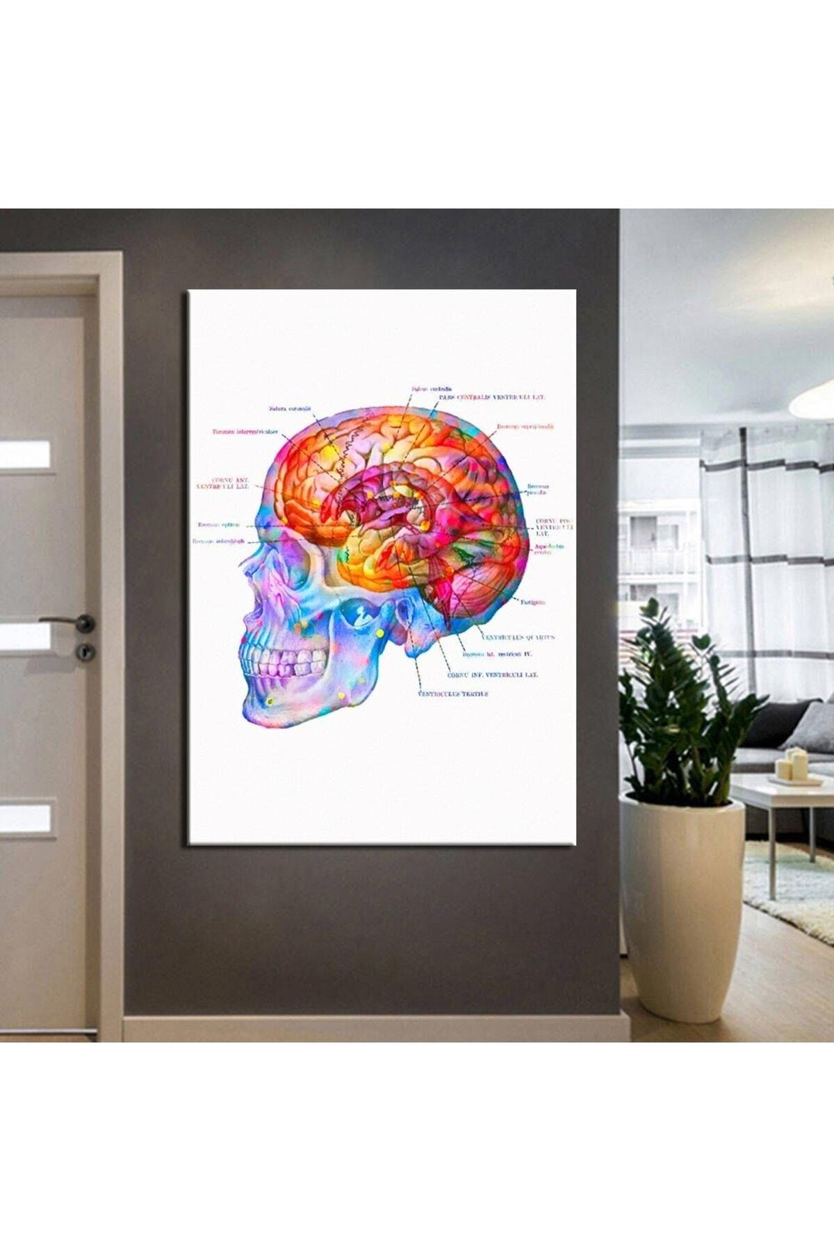 Poliklinik Klinik Hastane Dekorasyonu Medikal Hastane tabloları