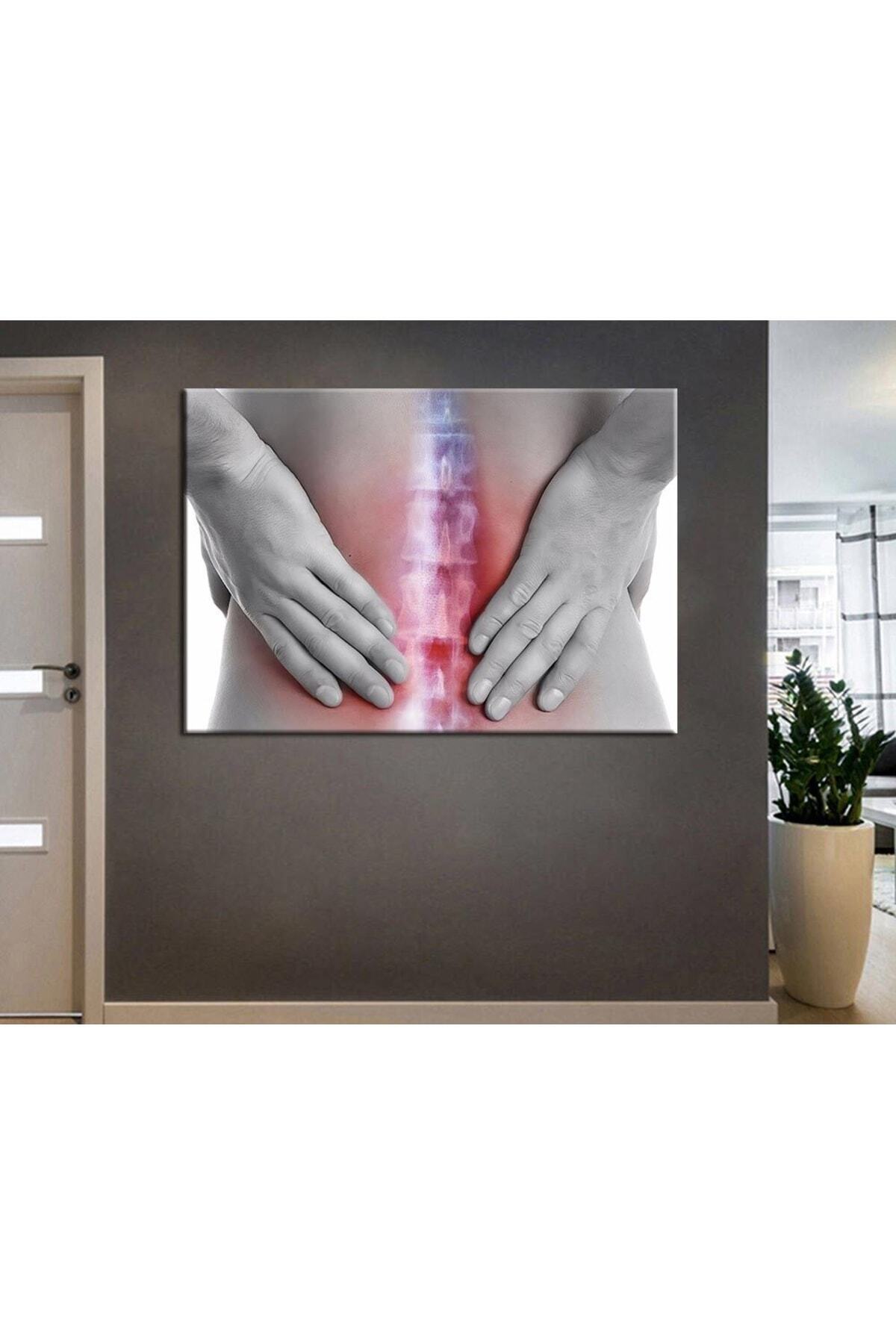 Poliklinik Klinik Hastane Dekorasyonu Medikal Hastane tabloları