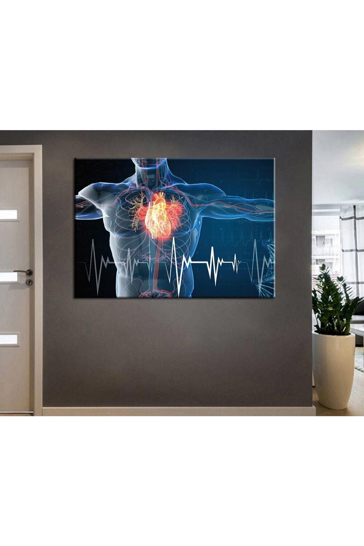 Poliklinik Klinik Hastane Dekorasyonu Medikal Hastane tabloları
