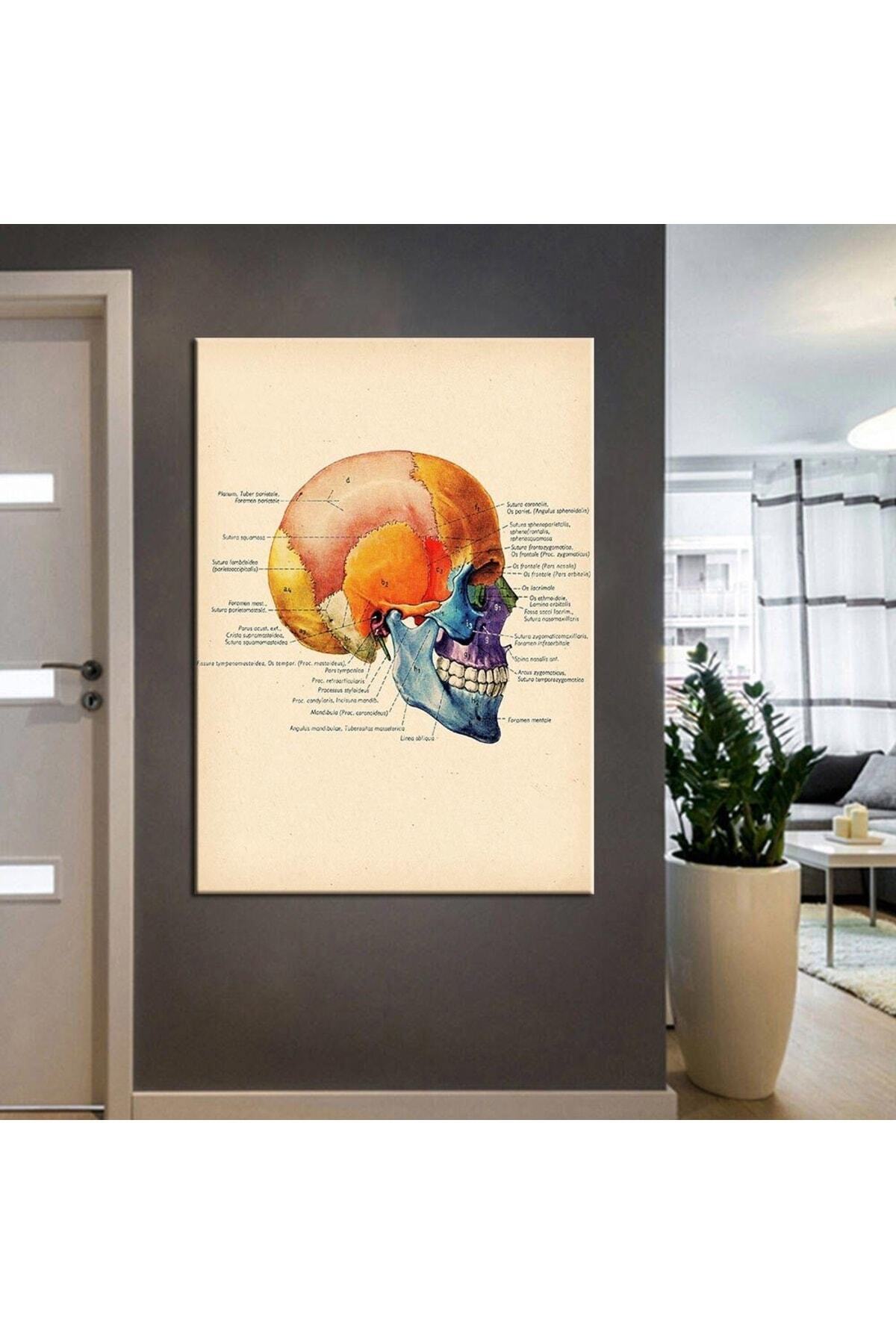 Poliklinik Klinik Hastane Dekorasyonu Medikal Hastane tabloları