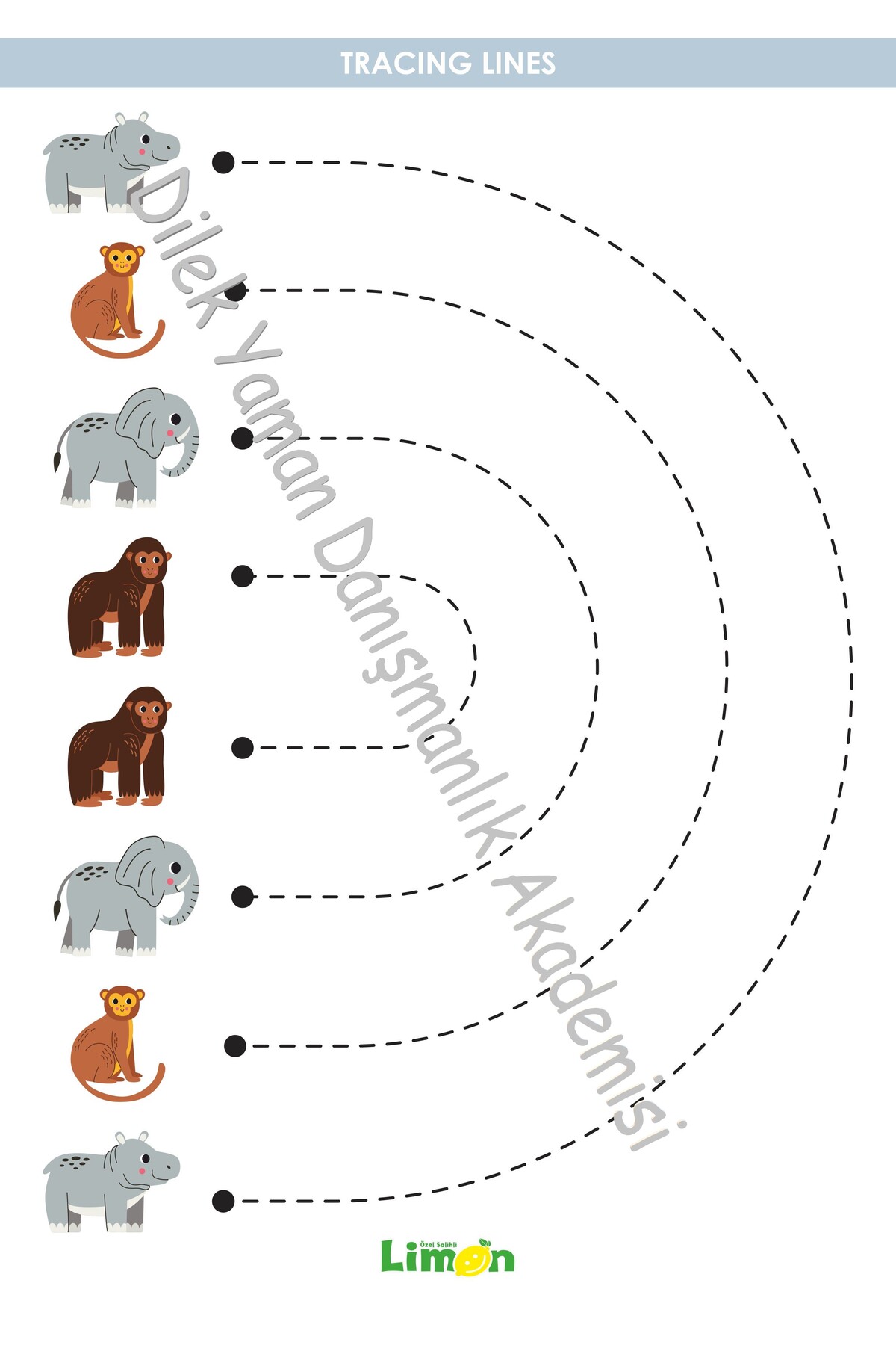 خط‌کشی پیش‌دبستانی، نقطه‌گذاری پیش‌دبستانی، فعالیت آموزشی، تمرین توجه