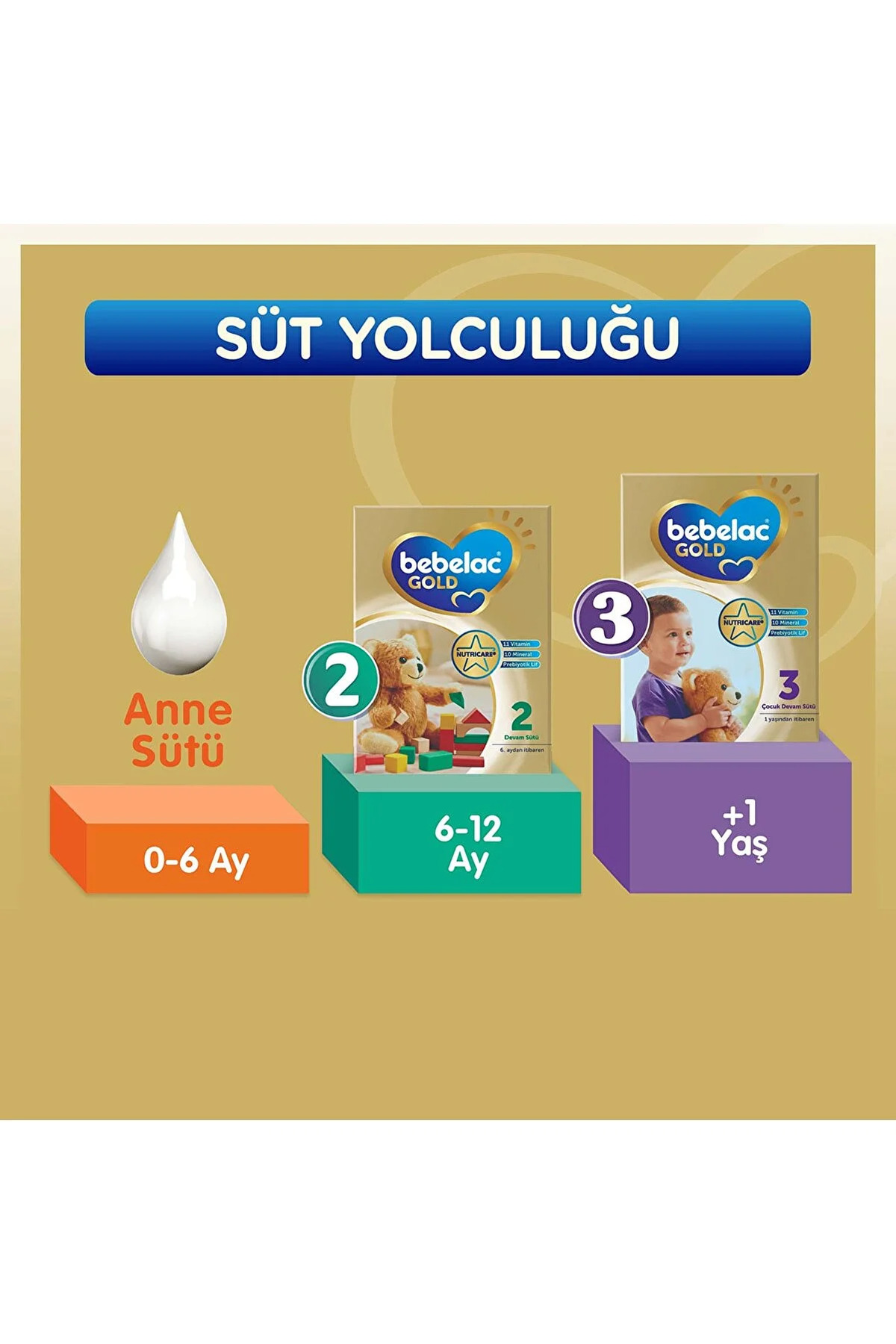 Bebelac Gold 2 Numara 800 GR 6-12 Ay 4`lü Avantaj Paketi (3200 GR) fotoğrafı 4 (önizleme)