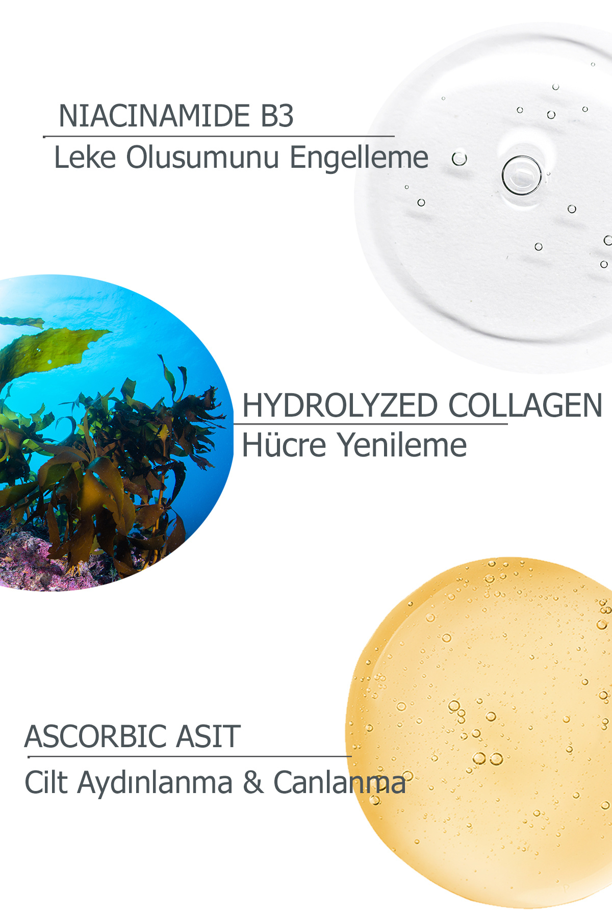 سرم پوست   jugenist | JGNT1001 اورجینال - تصویر 4