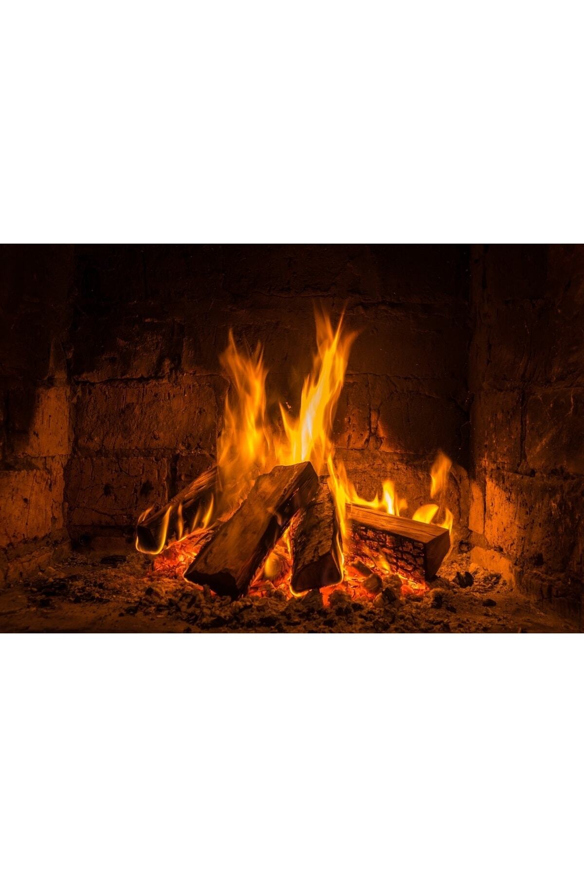 SAREYAPIVEHIRDAVAT 1.kalite Kuru Şöminelik Meşe Odunu 15kg