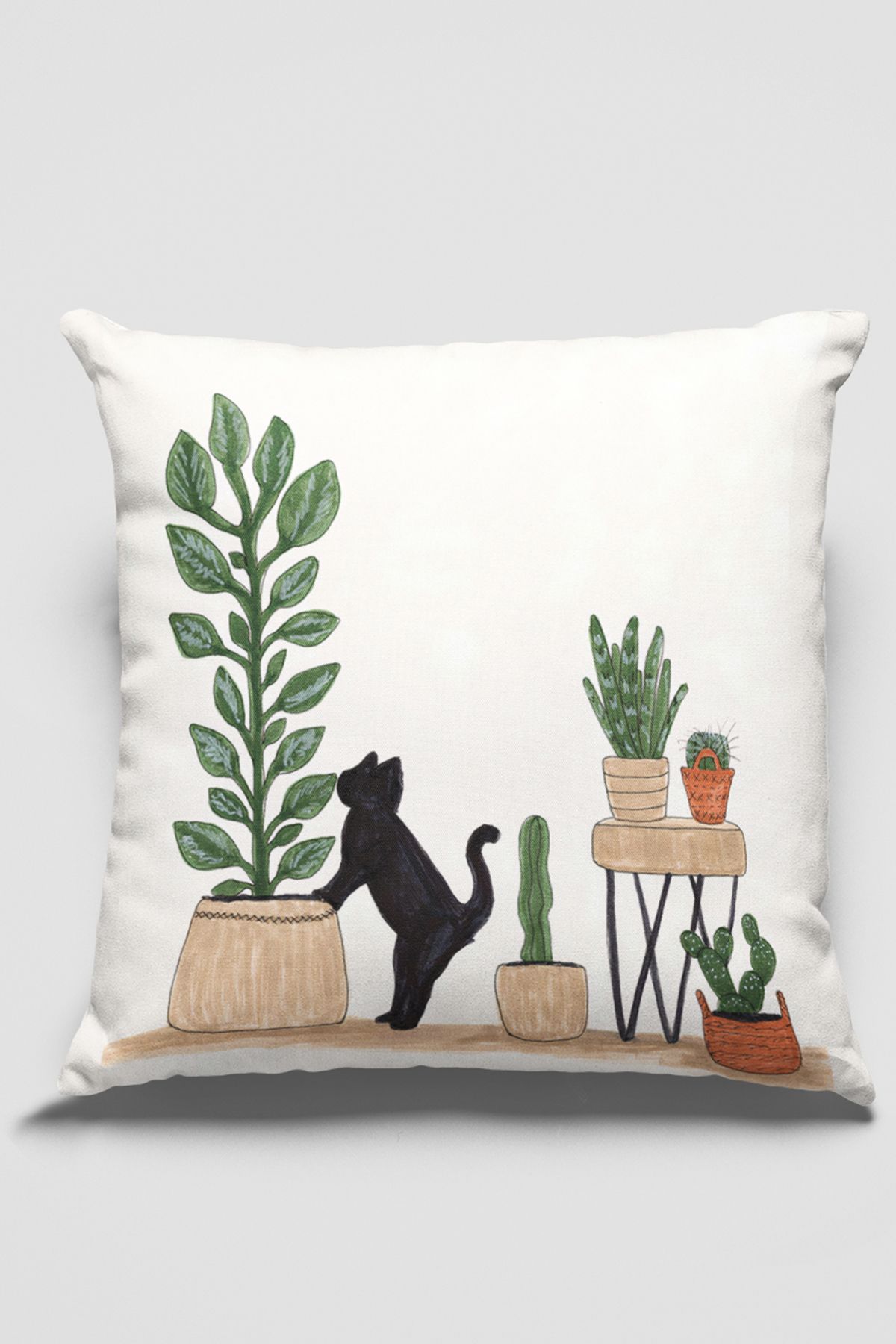 Pillow cactus 2025